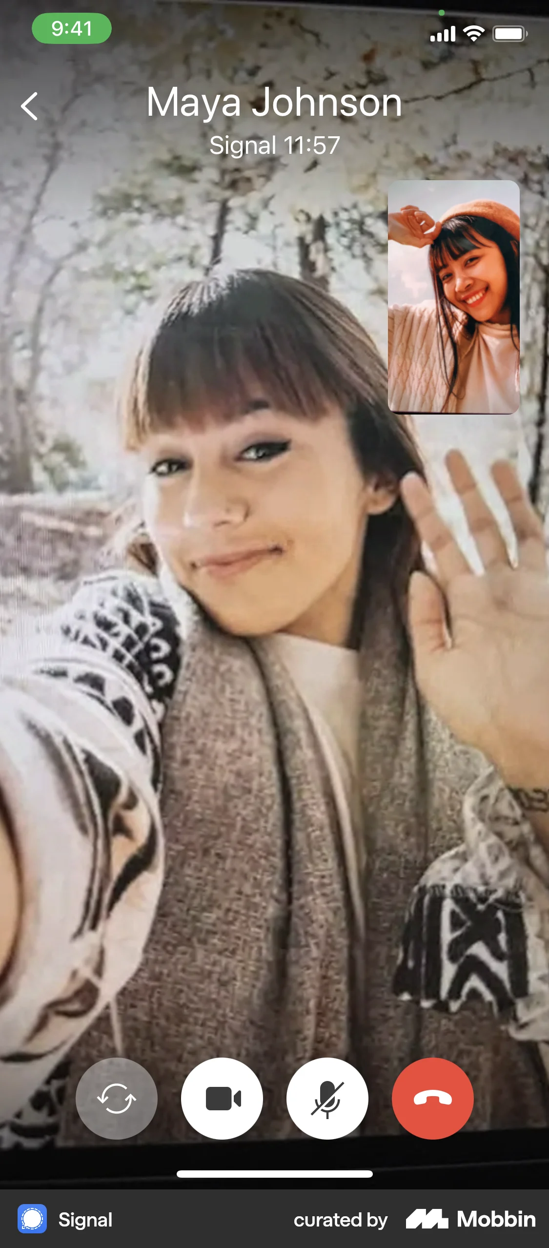 Signal iOS Call screen