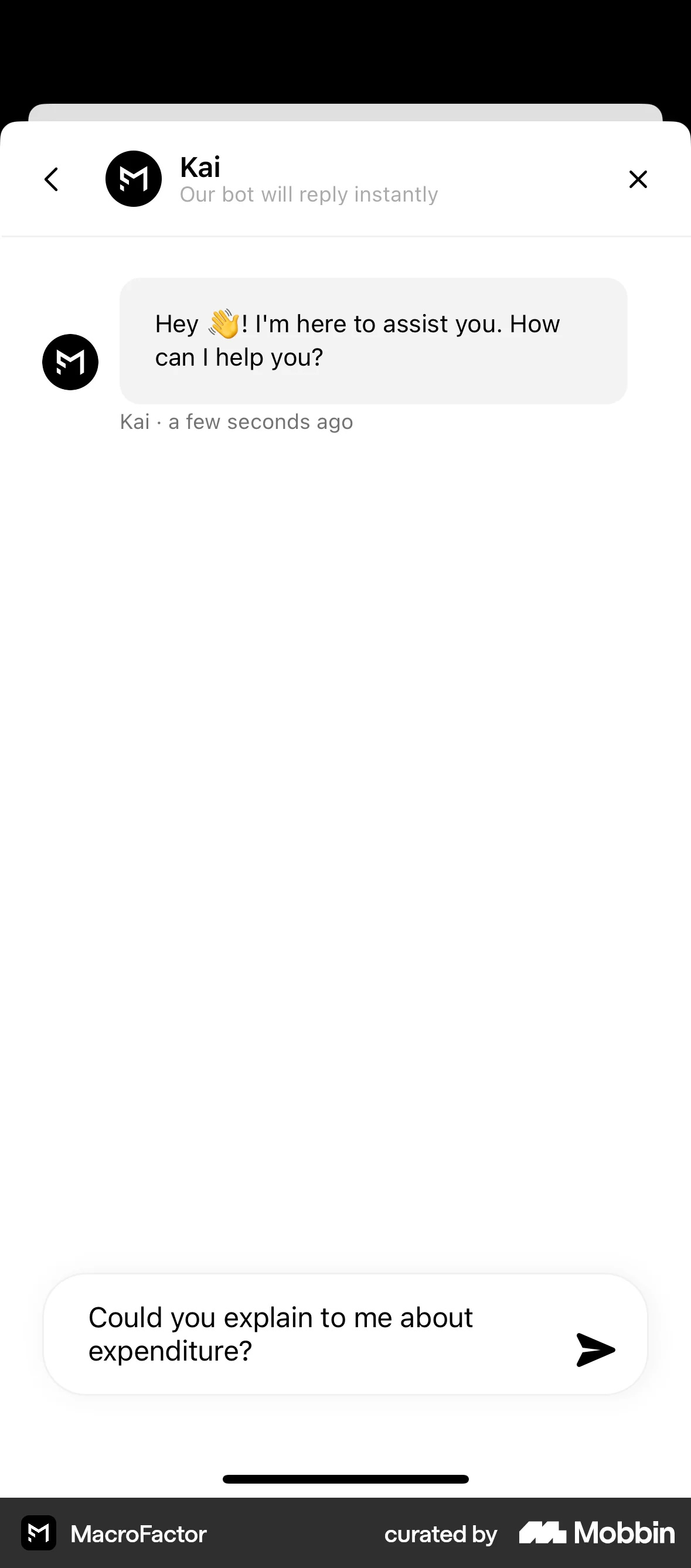 MacroFactor iOS Chat Detail screen