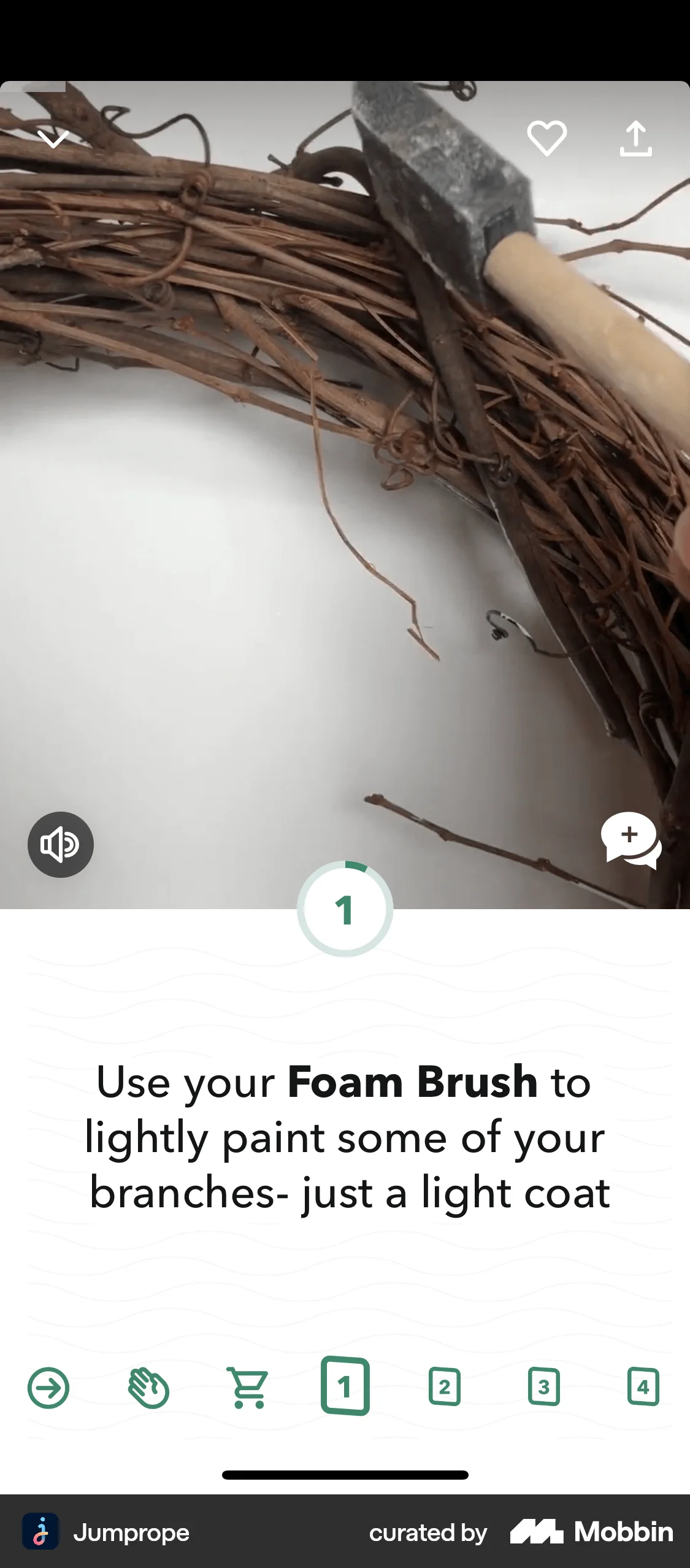 Jumprope iOS Photo & Video App screen