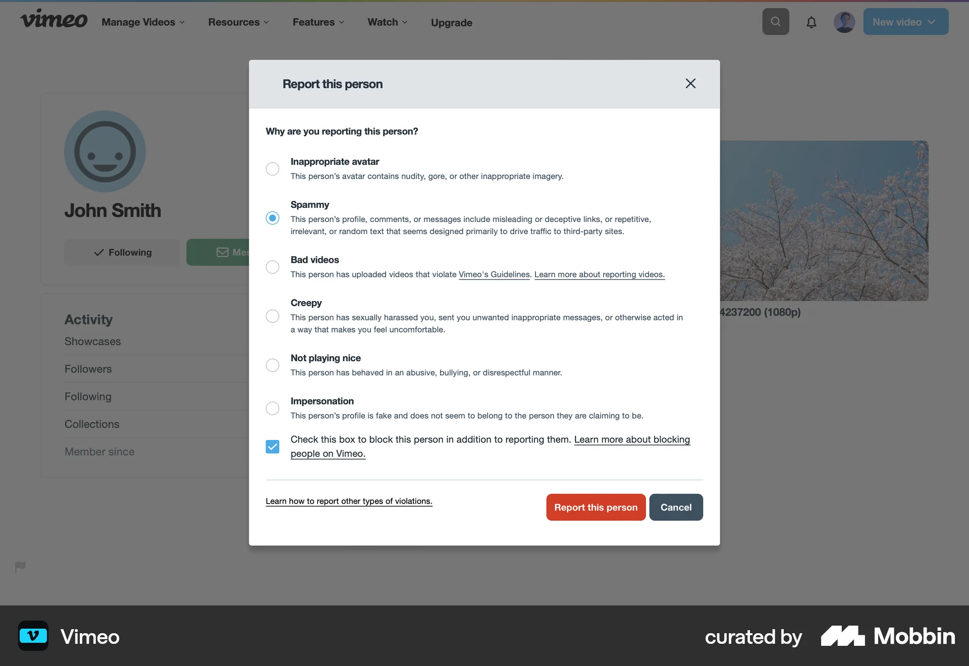Vimeo Web Flag & Report screen