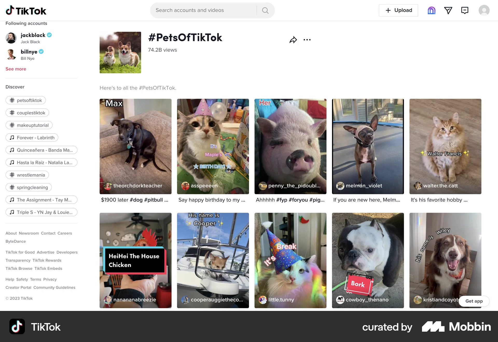 TikTok Web Browse & Discover screen