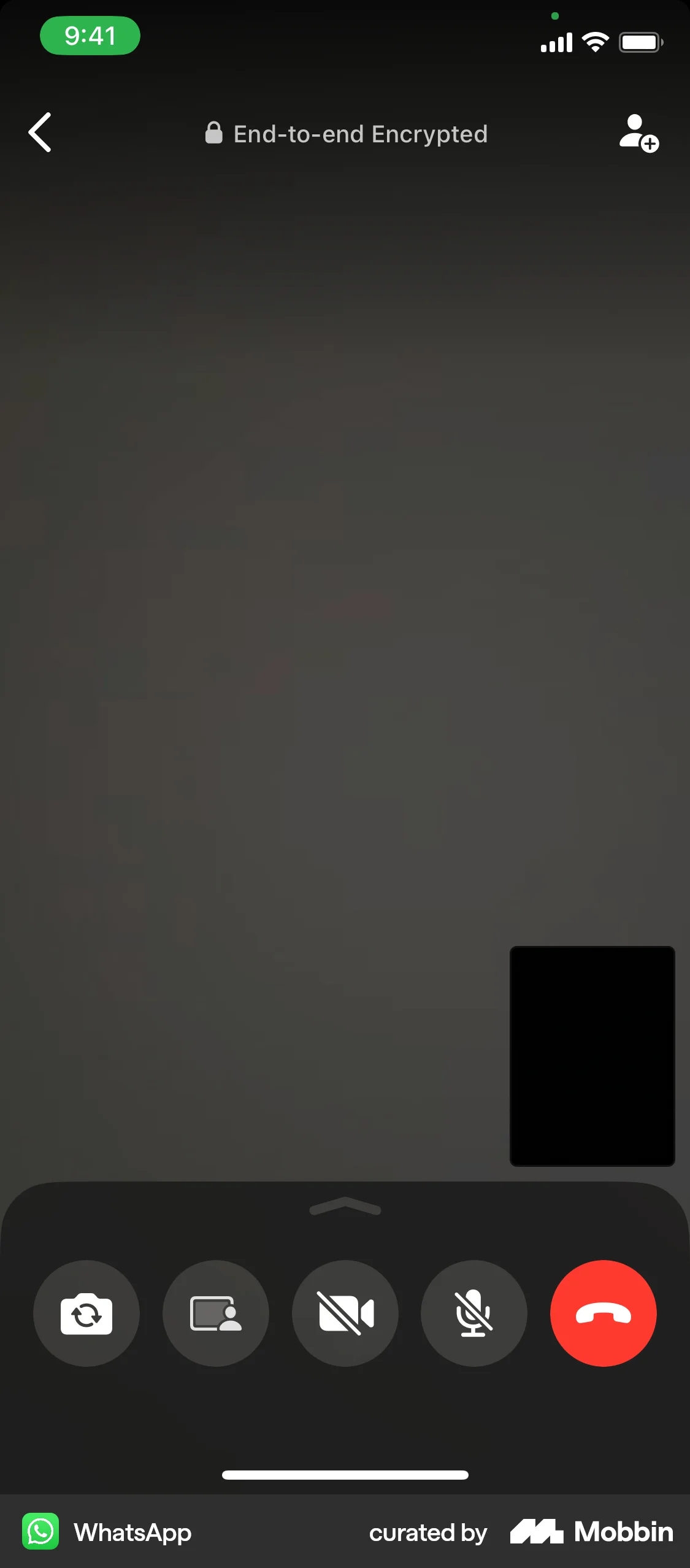 WhatsApp iOS Call screen