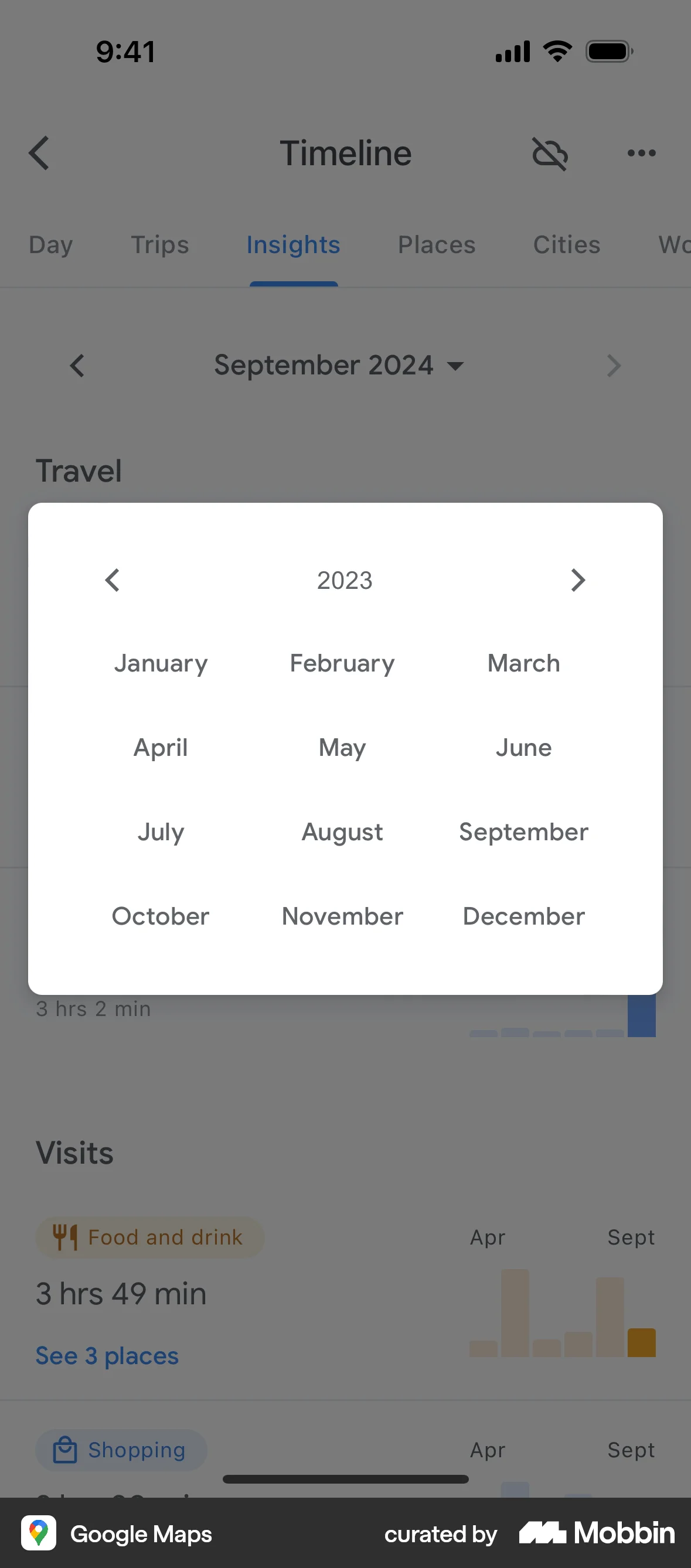 Google Maps iOS Timeline & History screen