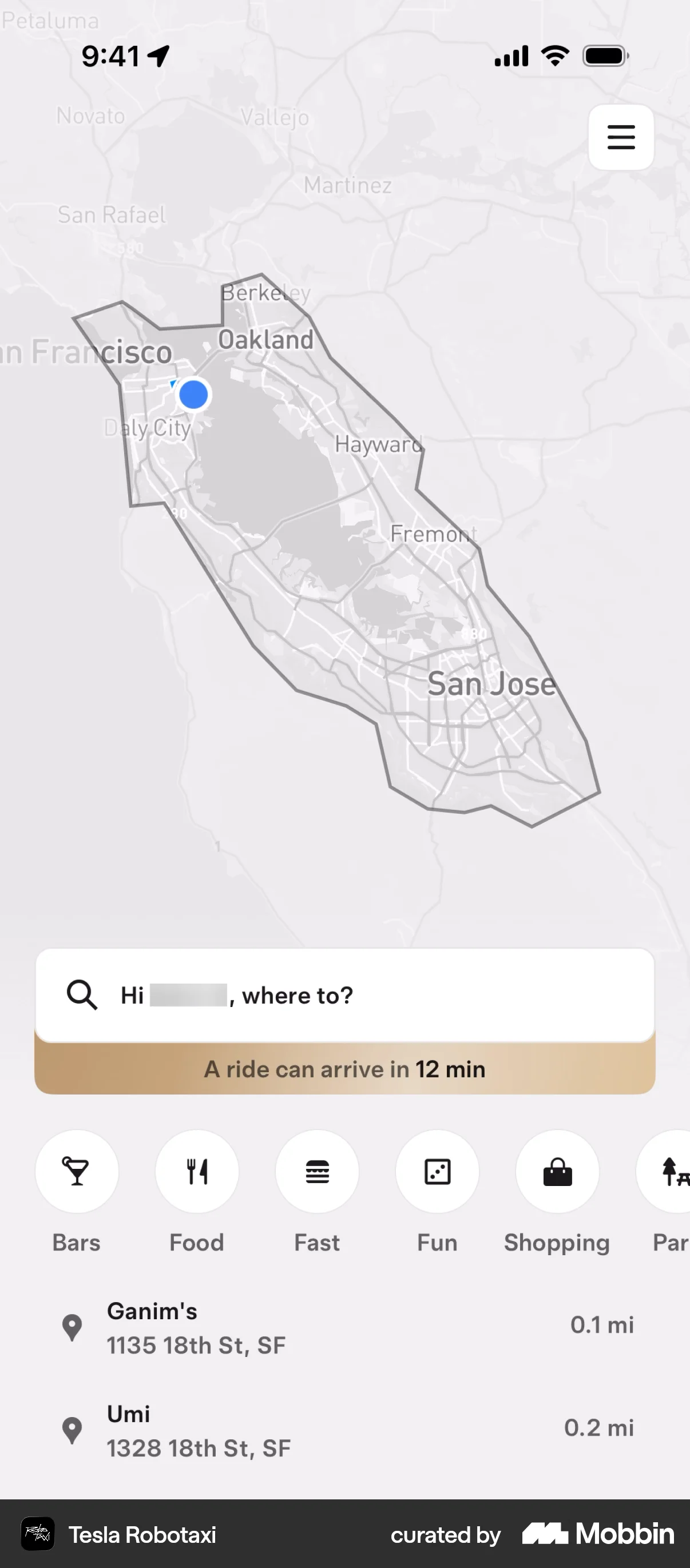 Tesla Robotaxi iOS Mobile App Design screen