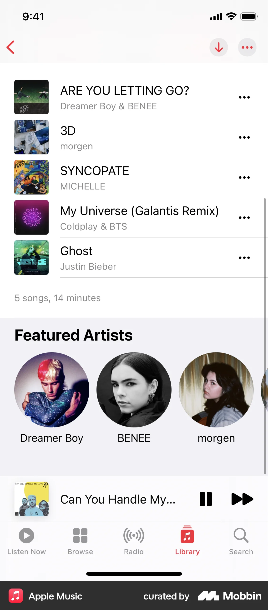 Apple Music iOS Playlists screen