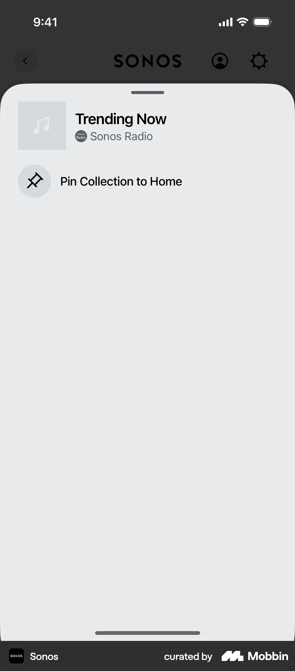 Sonos iOS Favorite & Pin screen
