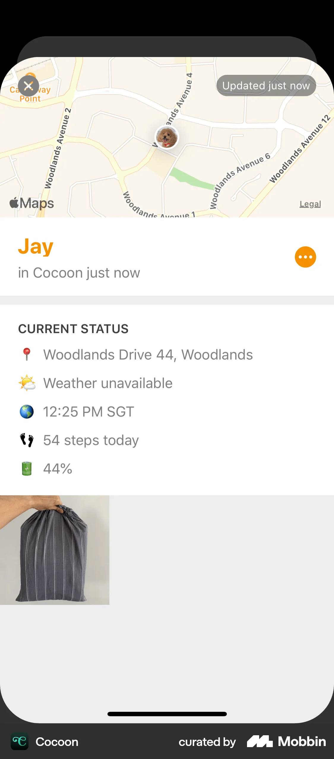 Cocoon iOS Map screen
