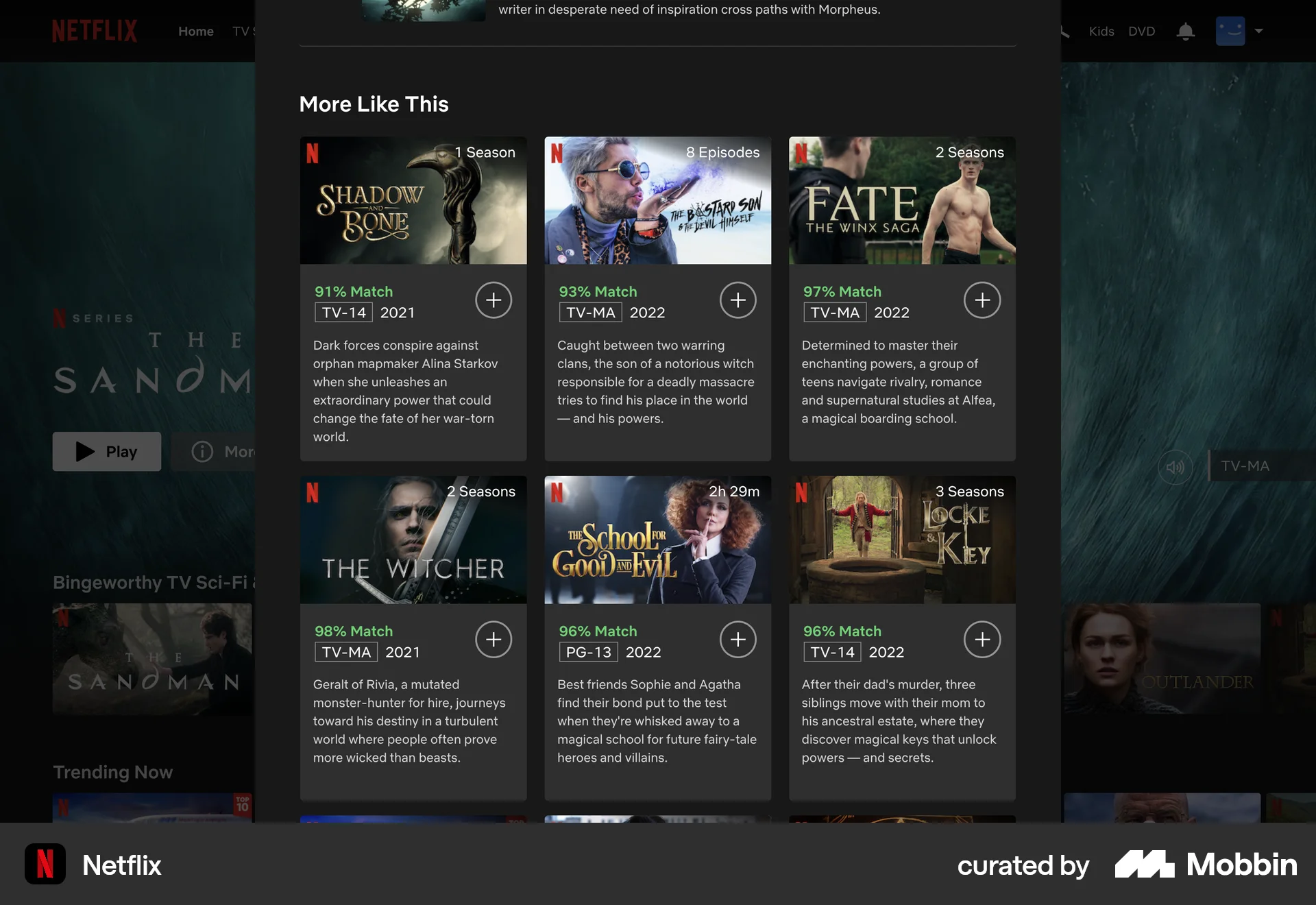 Netflix Web TV Show & Movie Detail screen
