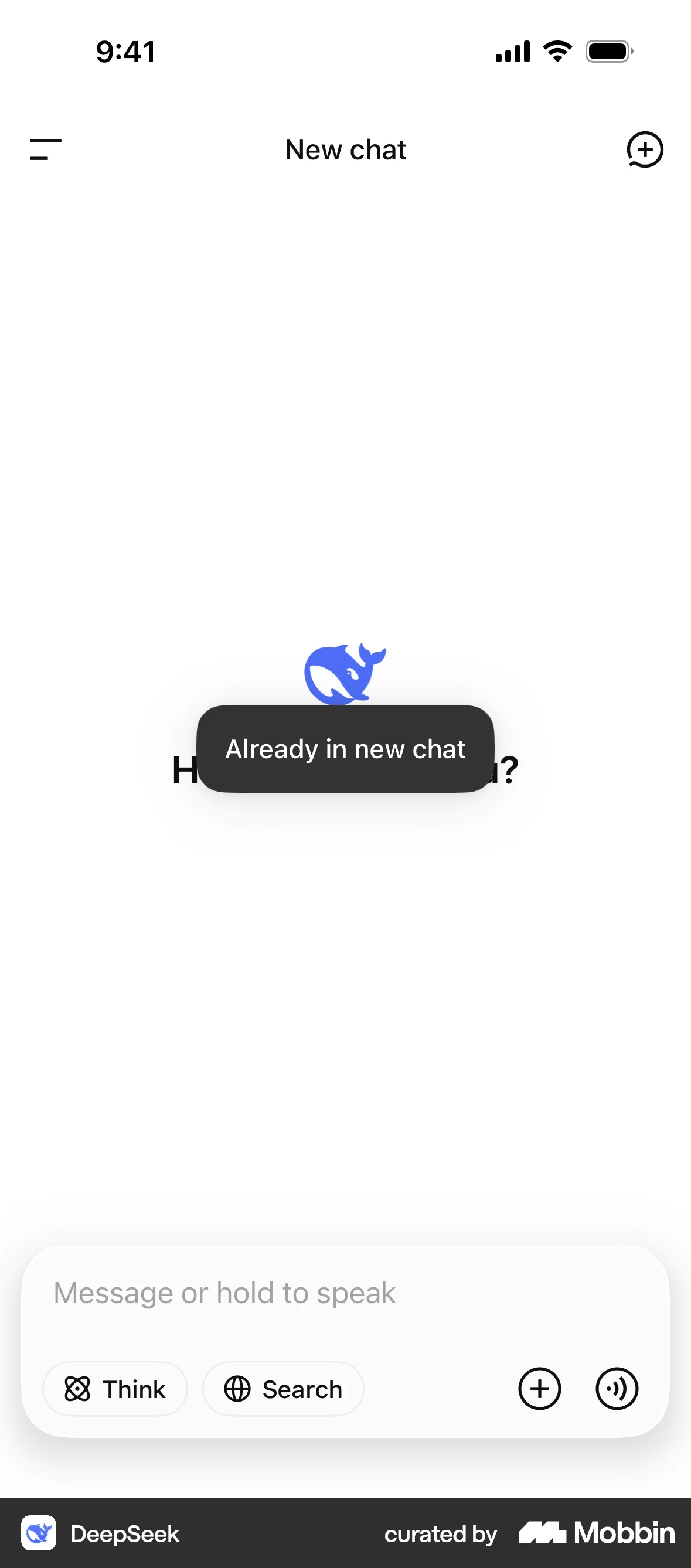 DeepSeek iOS Chat Detail screen