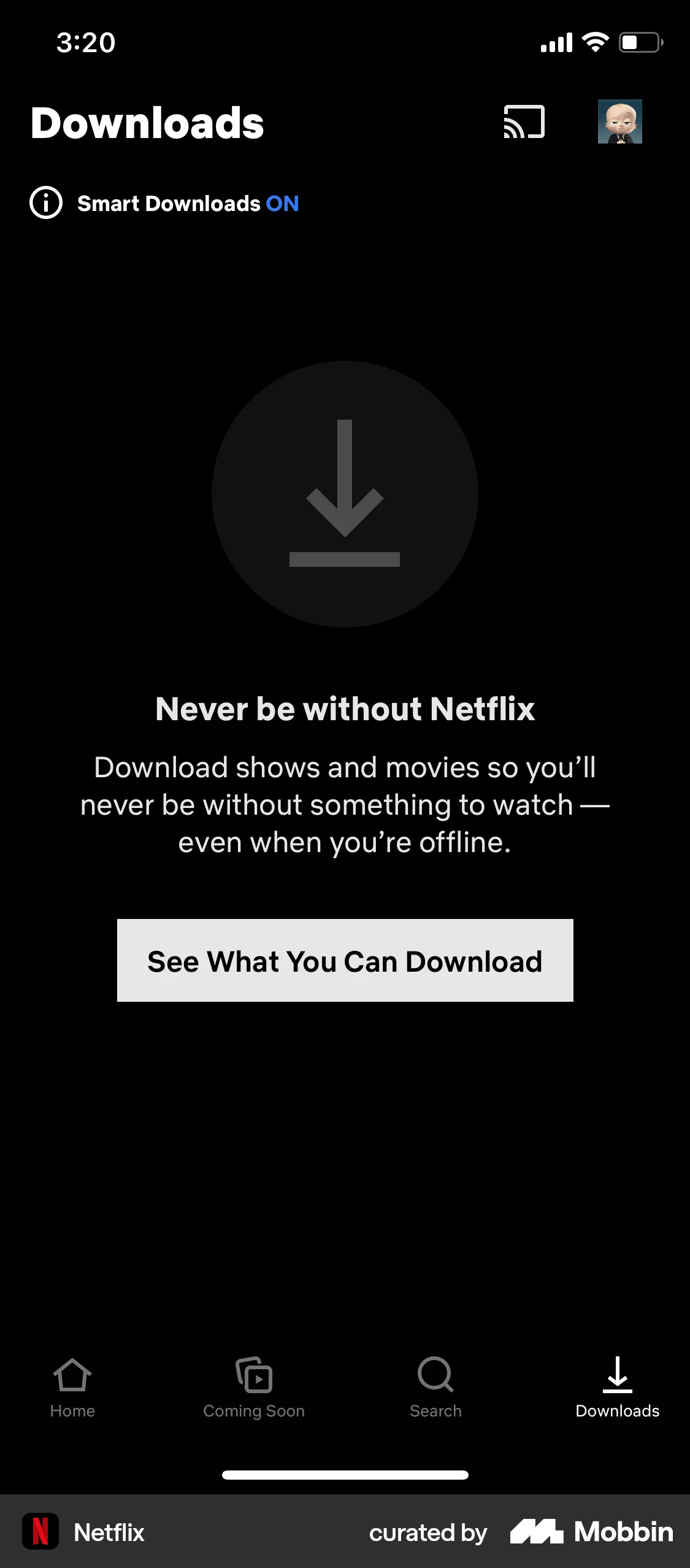 Netflix iOS Downloads & Available Offline screen