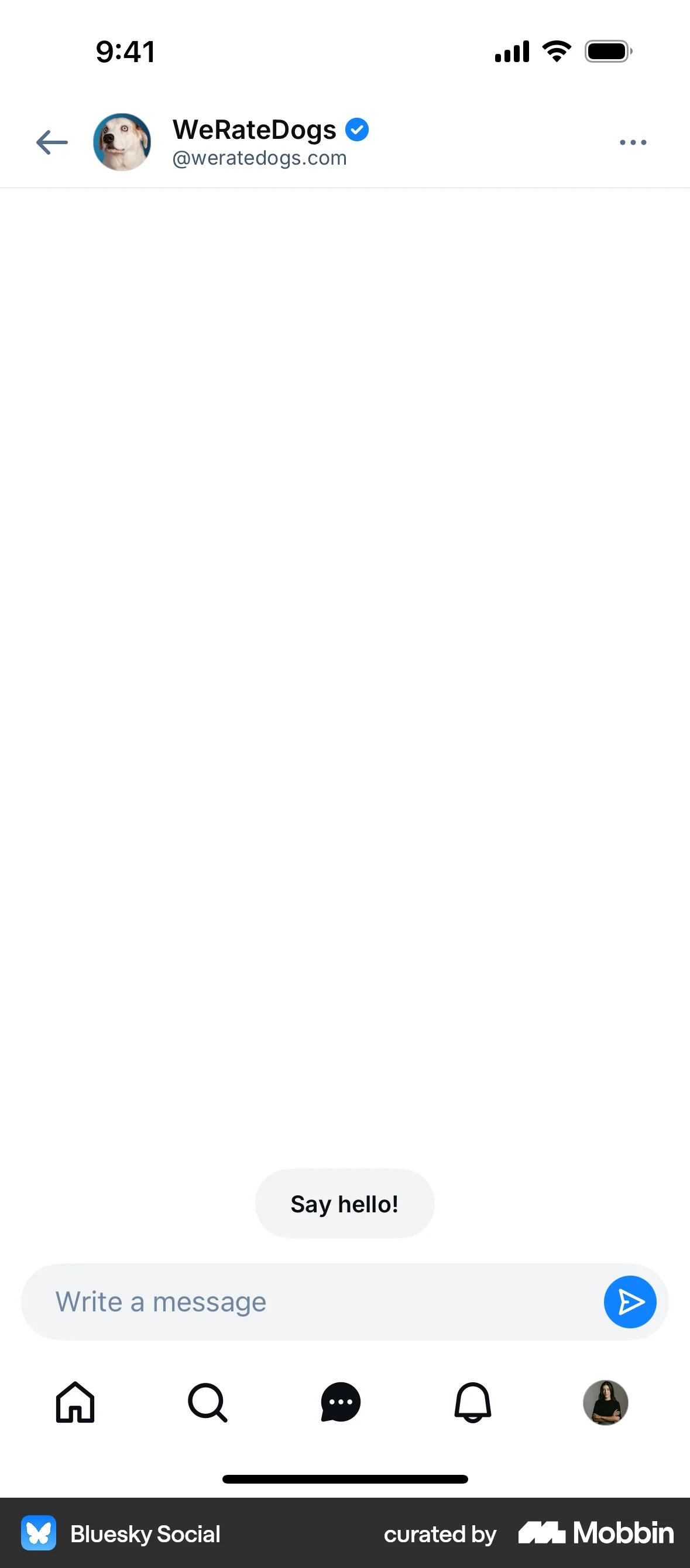 Bluesky Social iOS Chat Detail screen