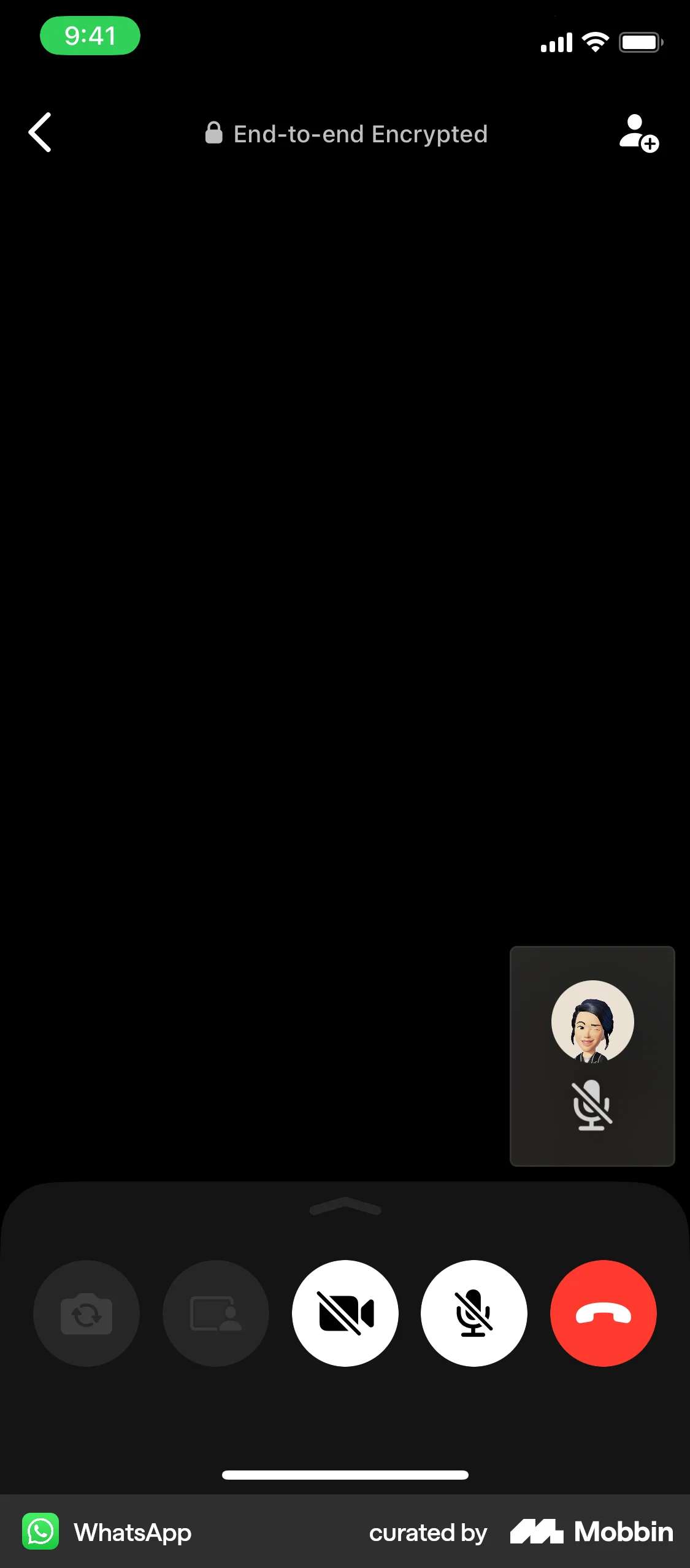 WhatsApp iOS Call screen