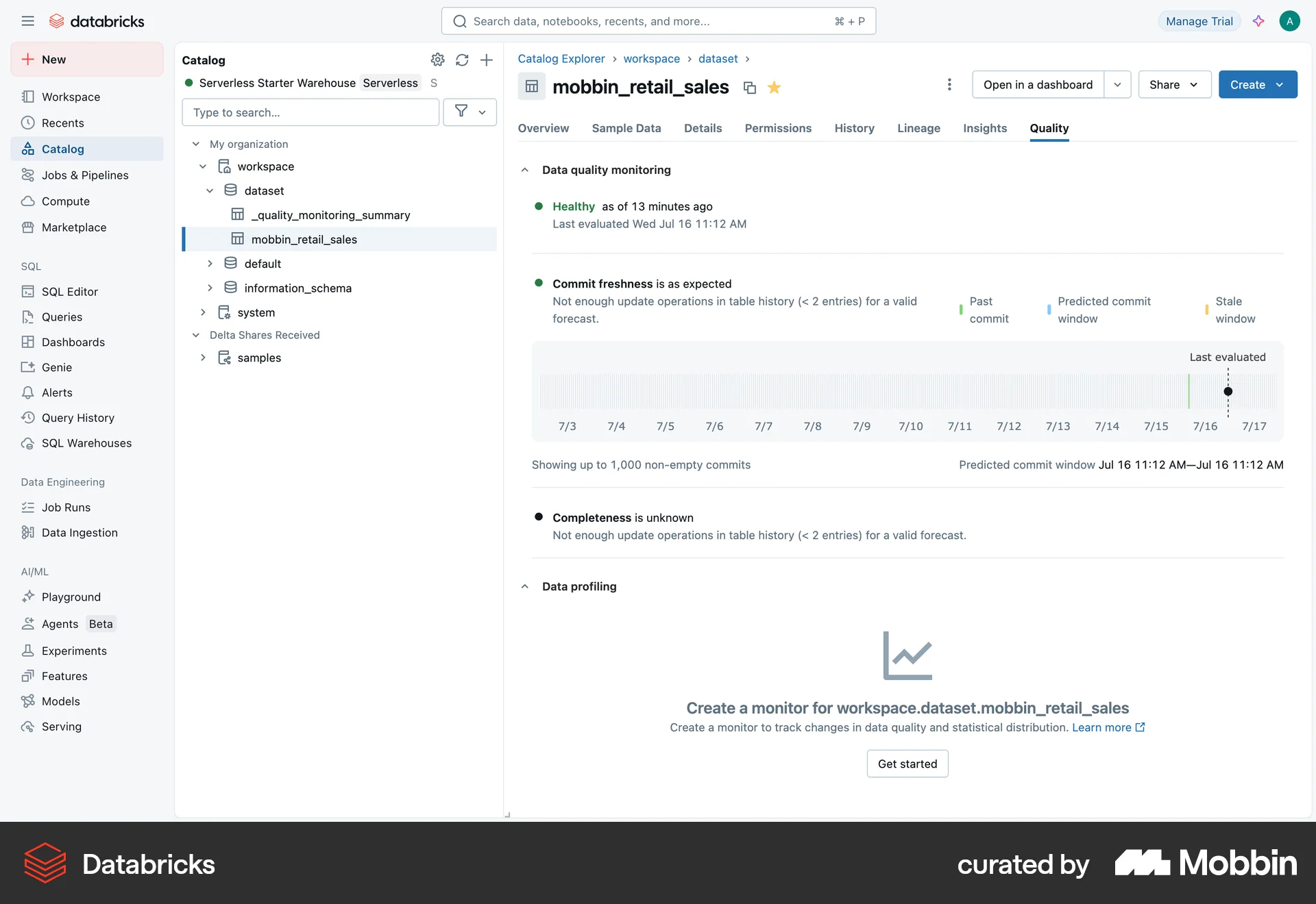Databricks Web Charts screen