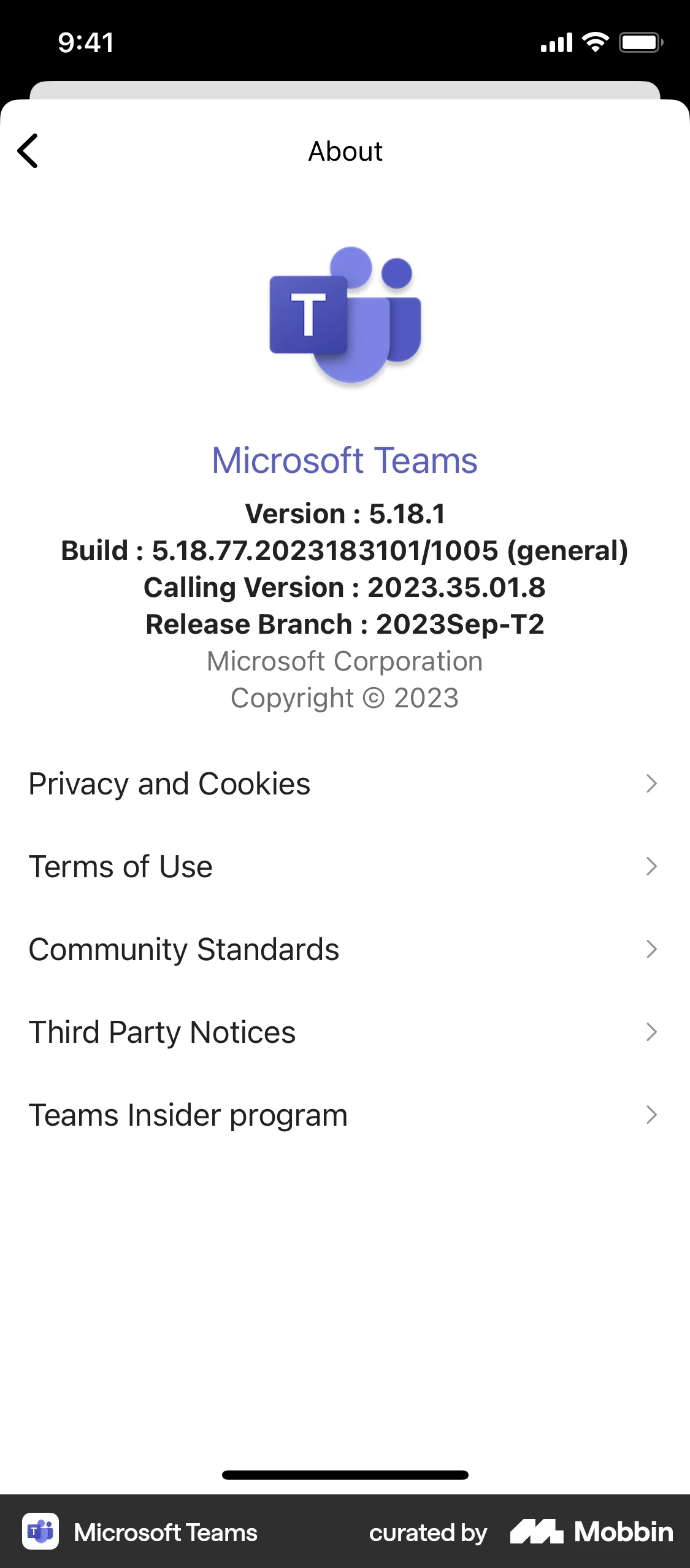 Microsoft Teams iOS About screen