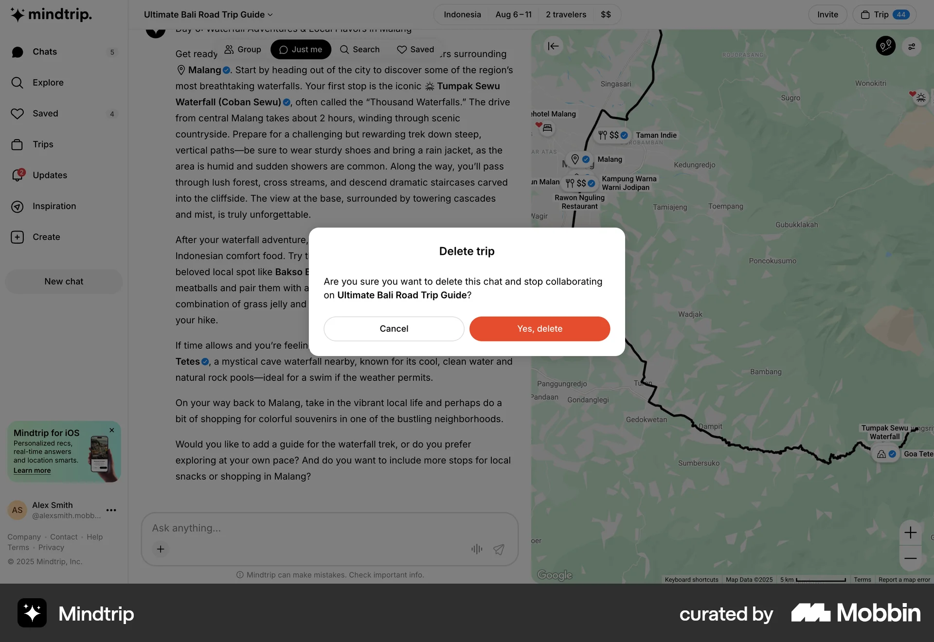 Mindtrip Web Delete screen