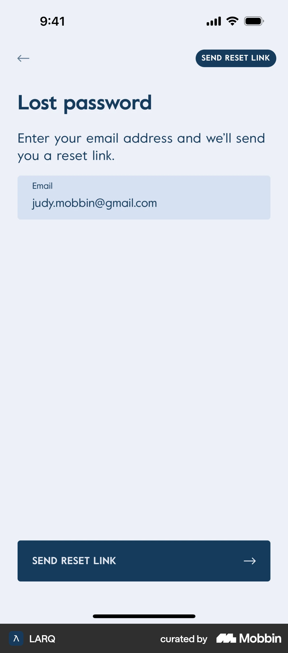LARQ iOS Forgot Password screen