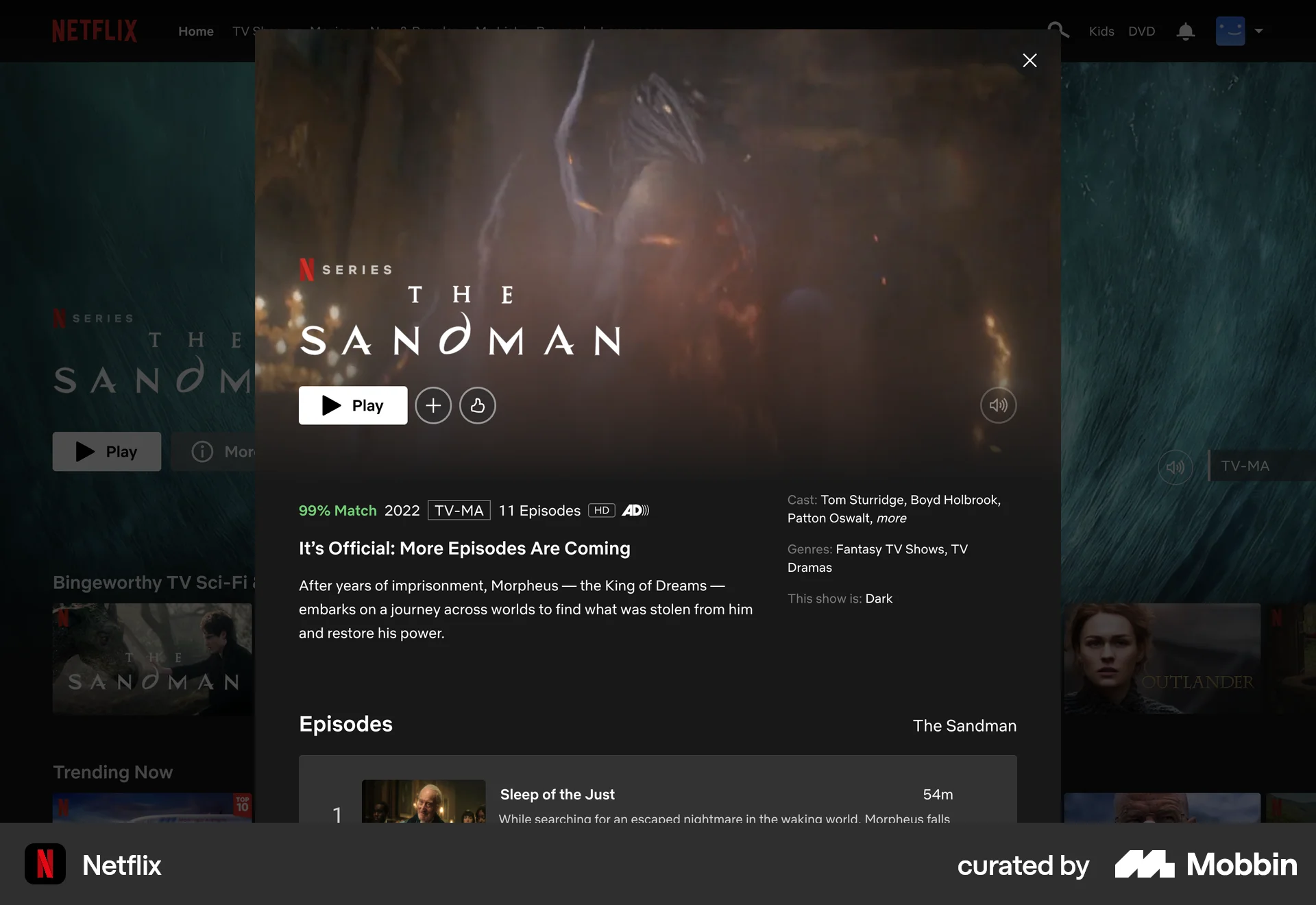 Netflix Web TV Show & Movie Detail screen