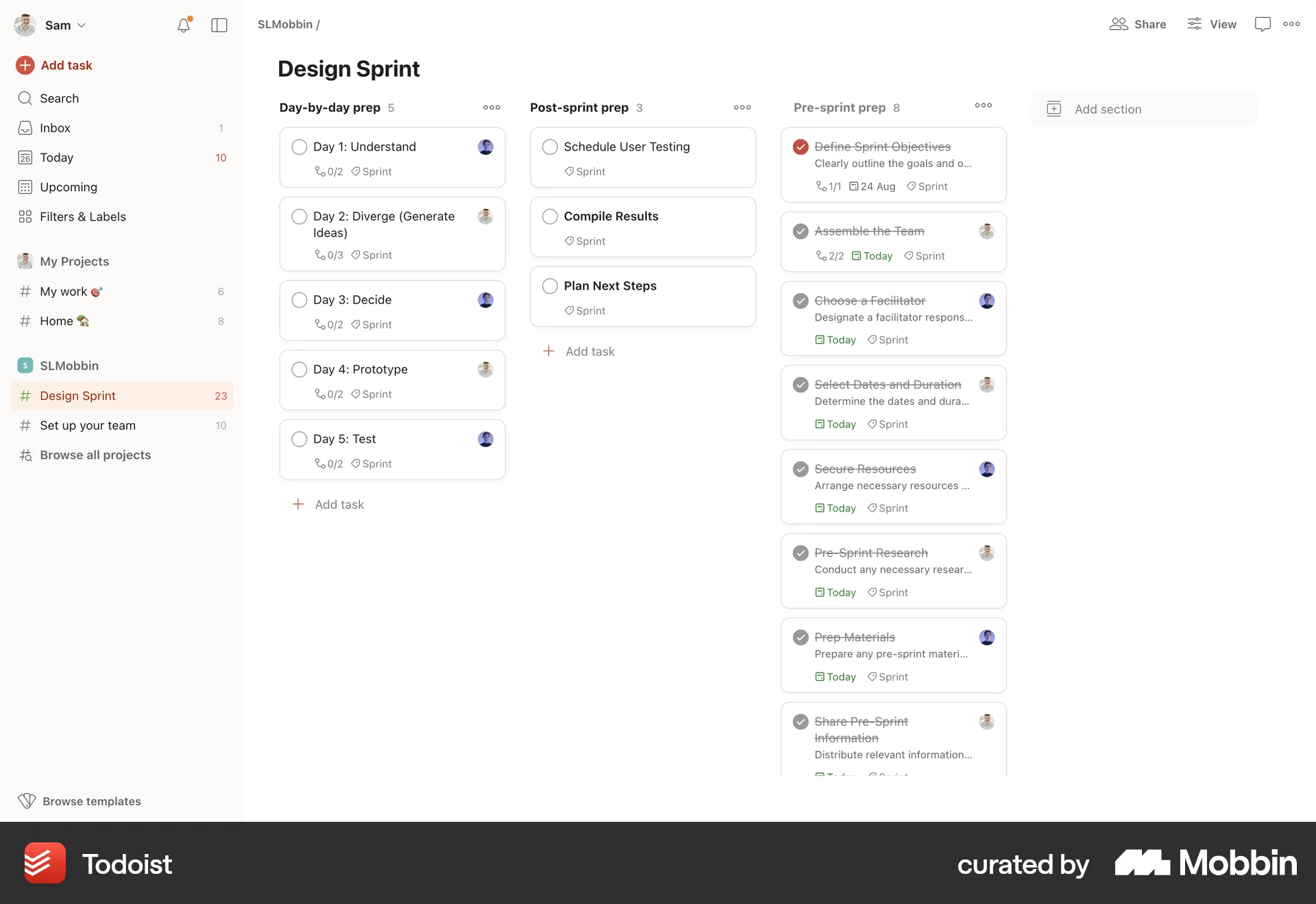 Todoist Web Goal & Task screen