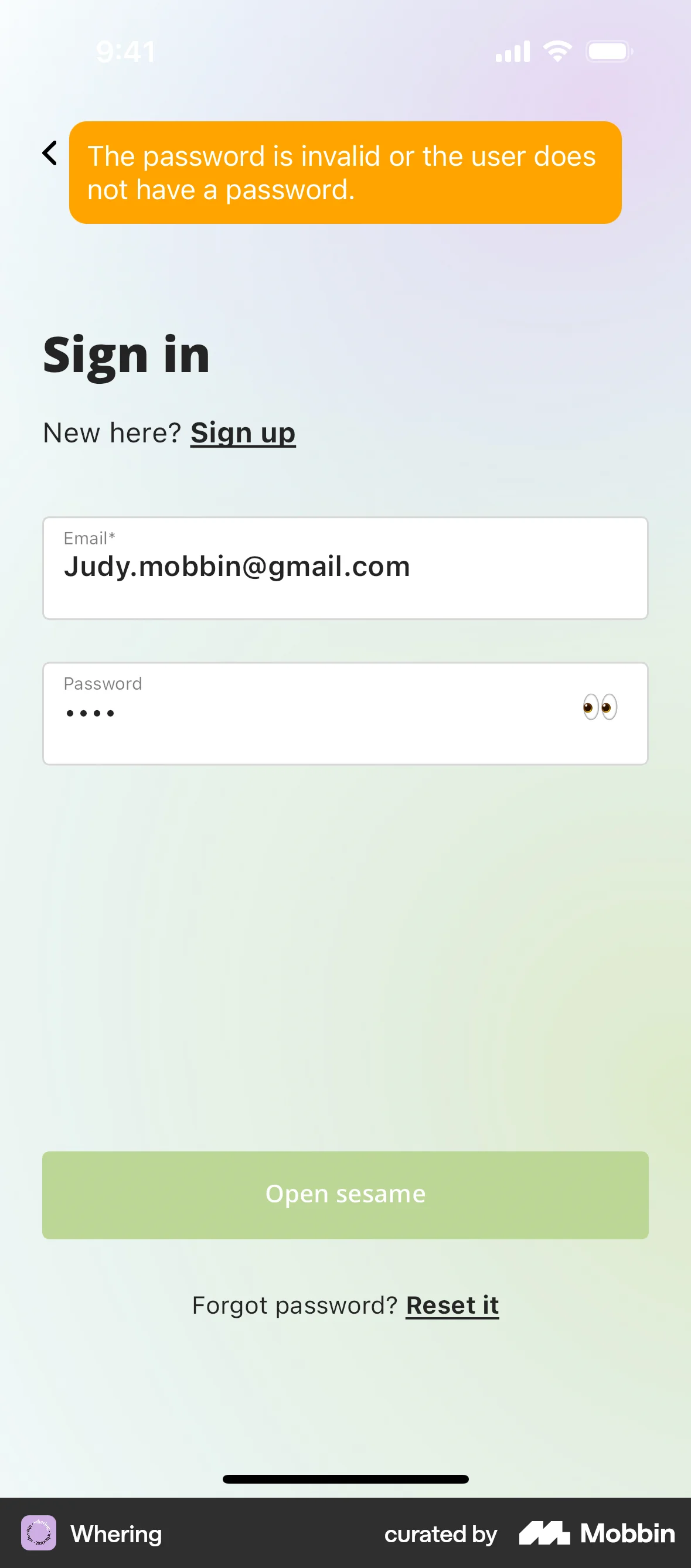 Whering iOS Error screen