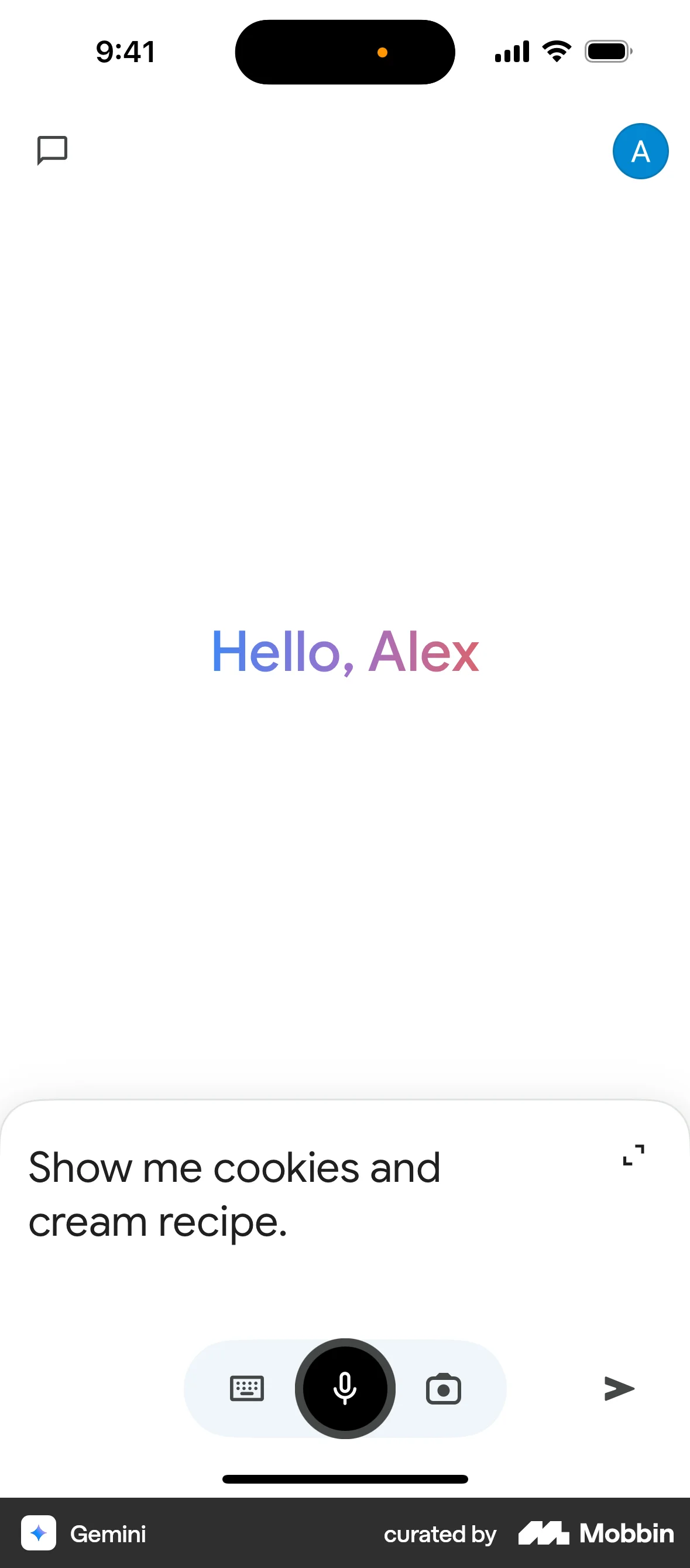 Google Gemini iOS Audio & Video Recorder screen