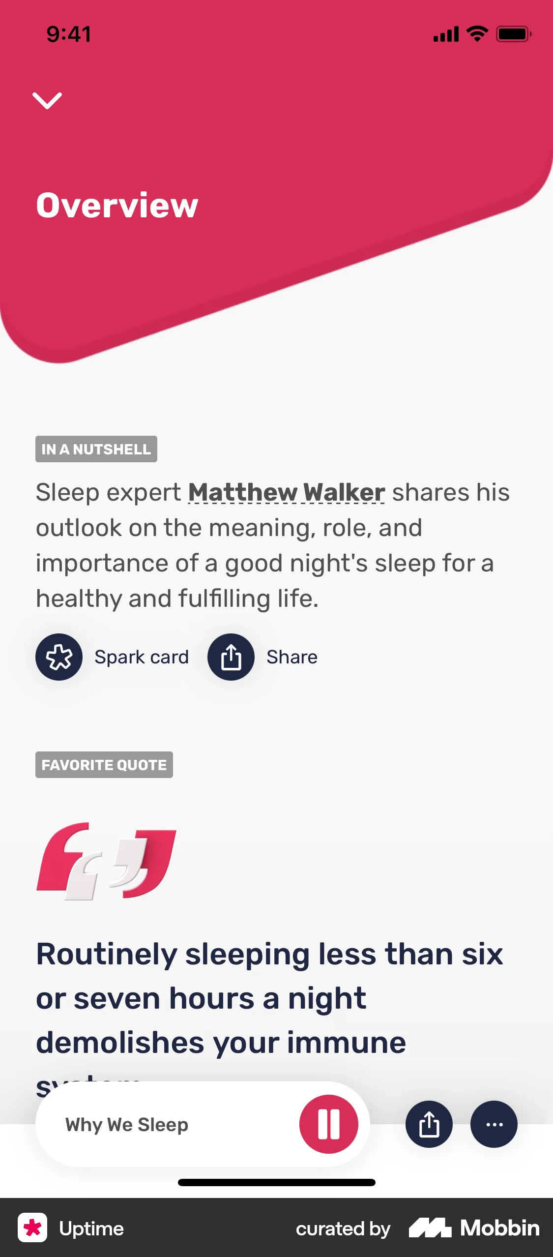 Uptime iOS Audio Player screen
