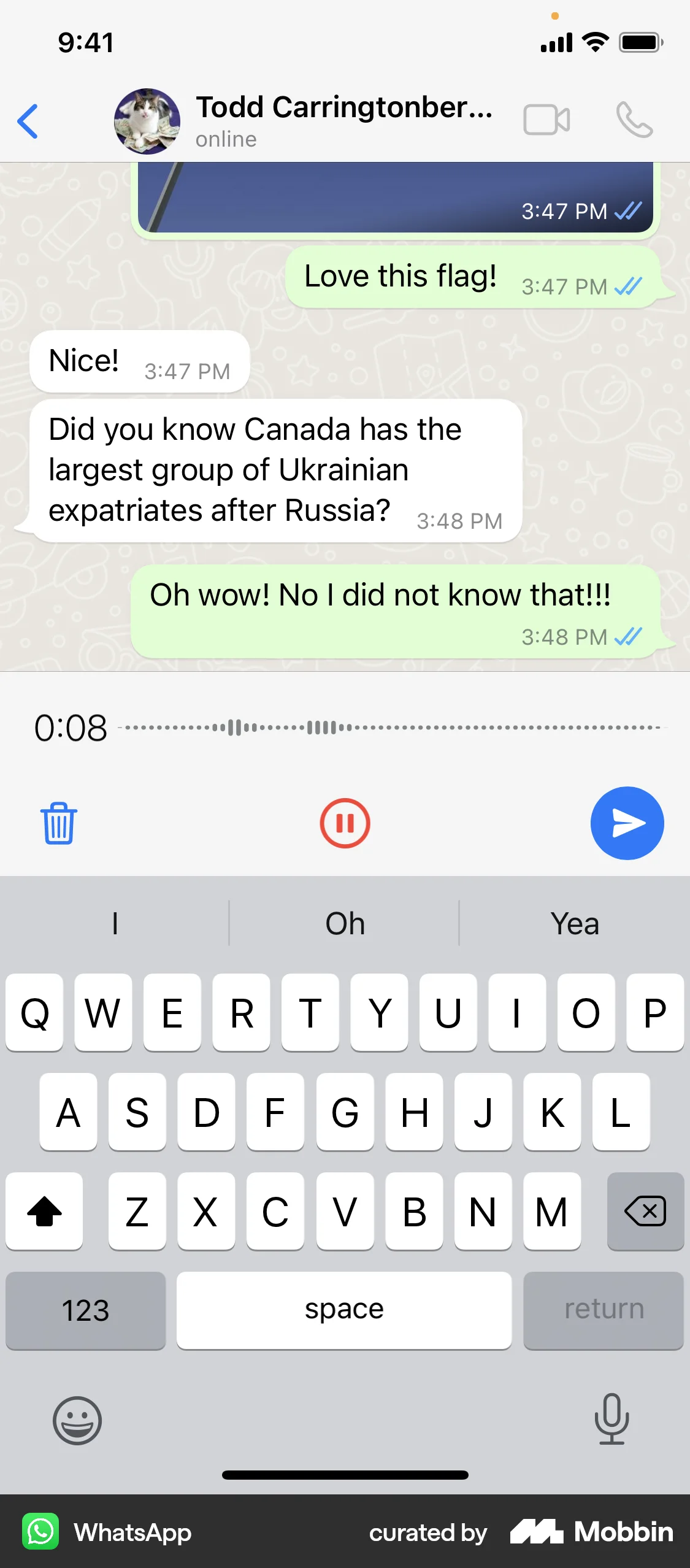 WhatsApp iOS Audio & Video Recorder screen