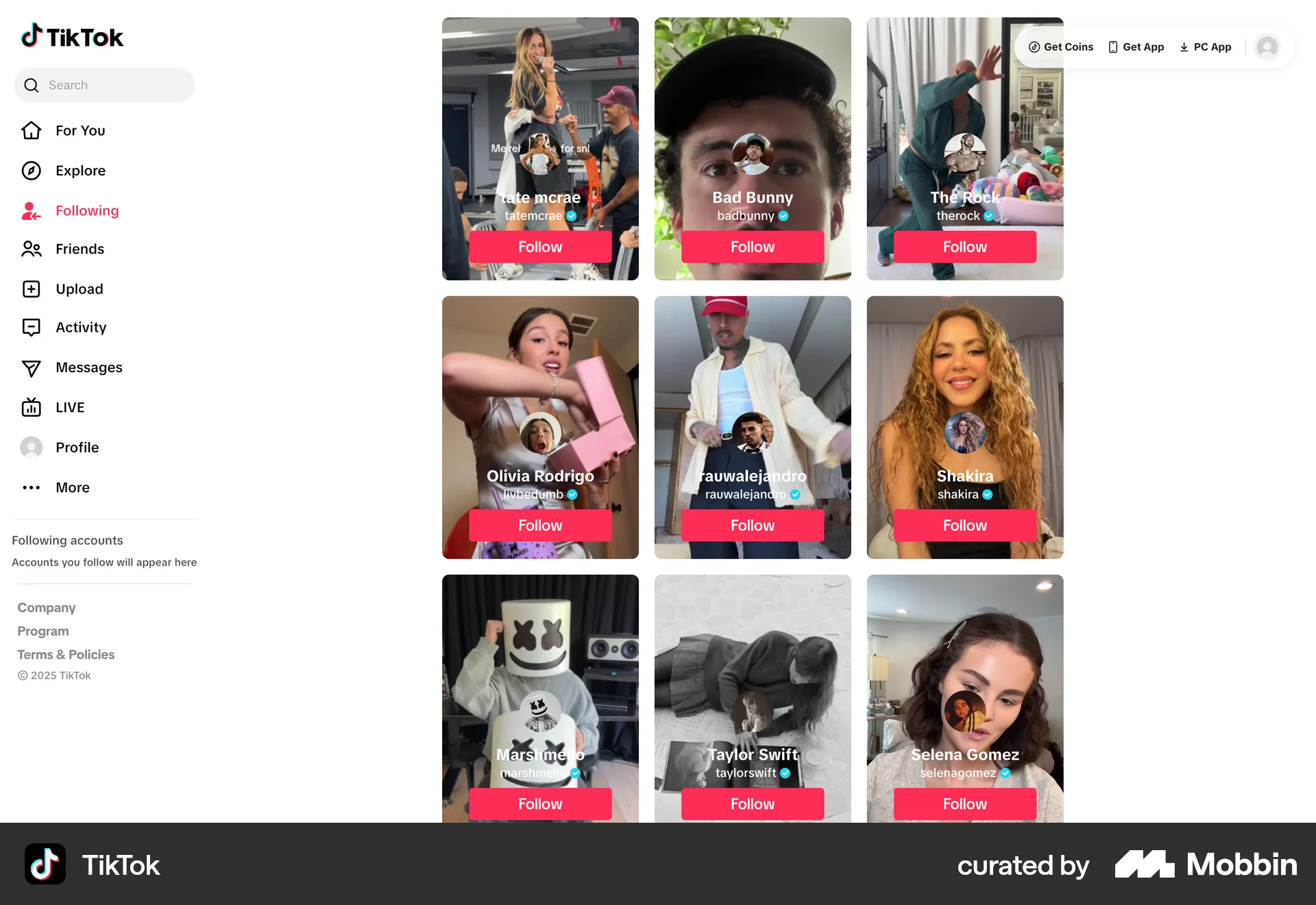 TikTok Web Followers & Following screen
