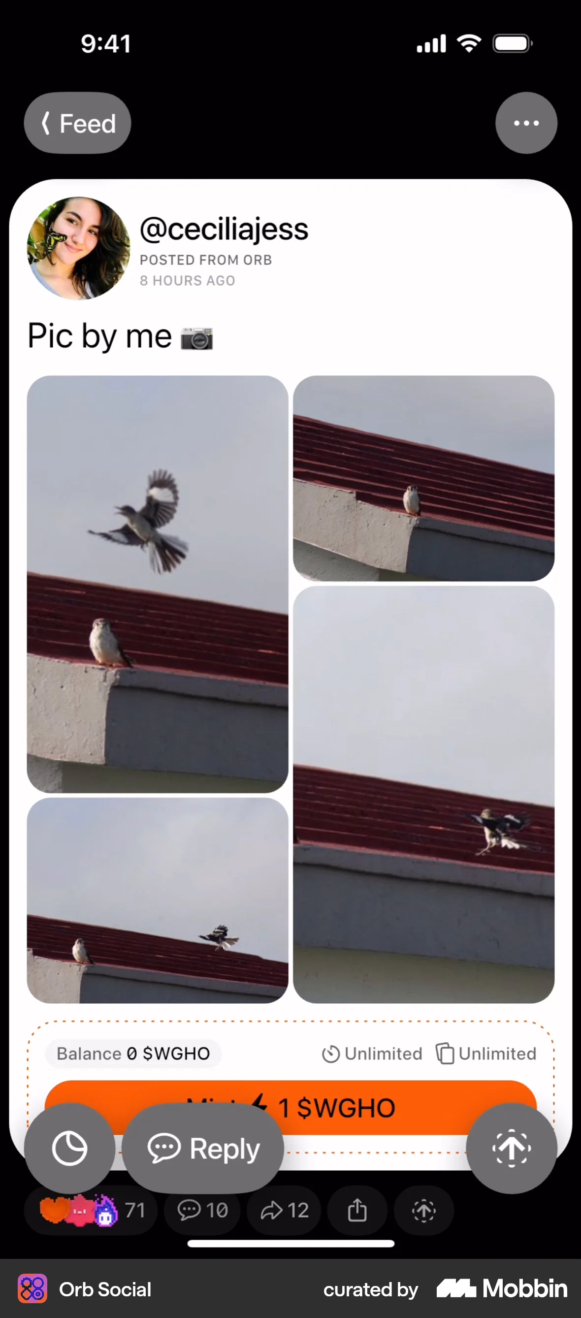 Orb Social iOS Post Detail screen