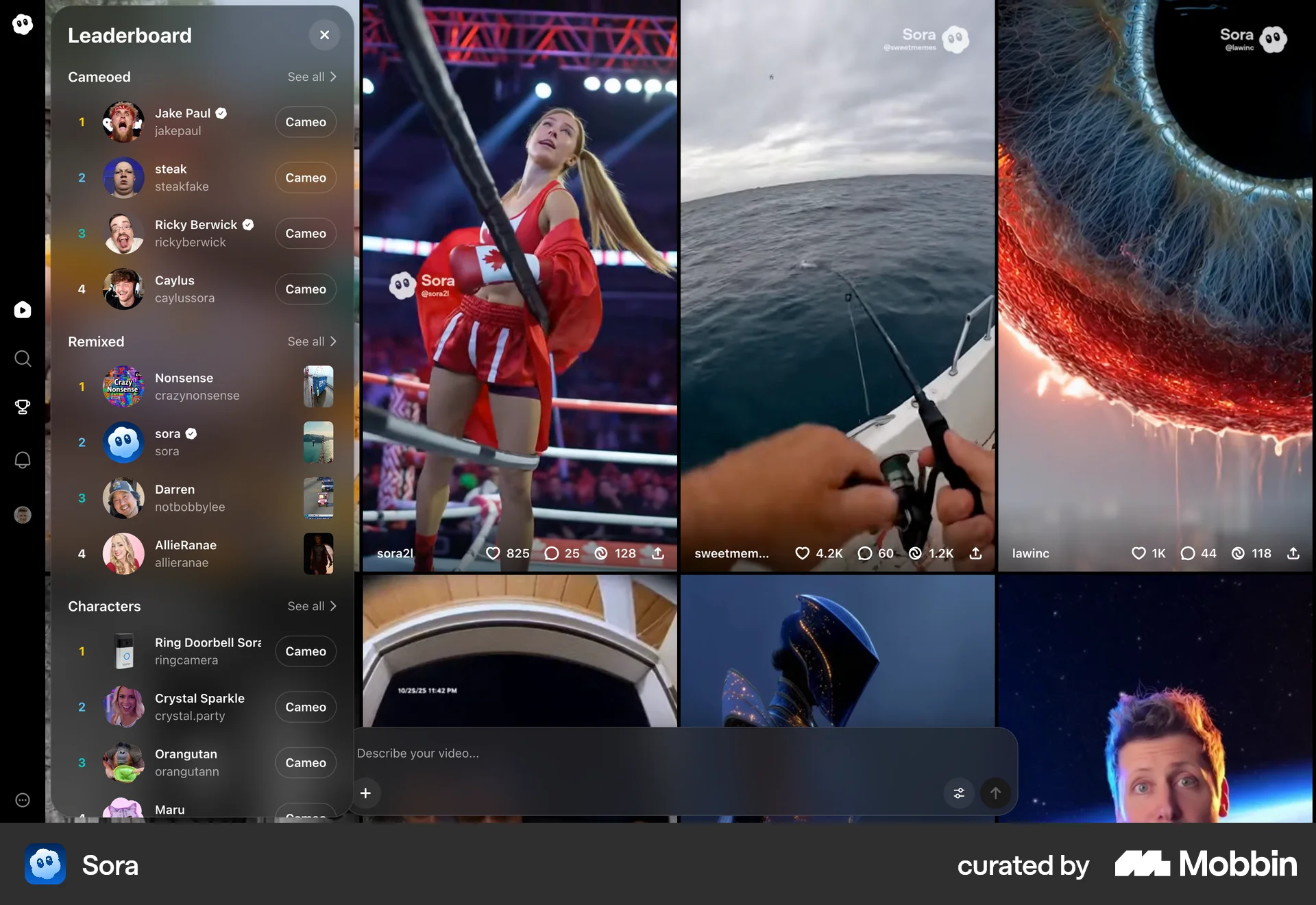 Sora Web Leaderboard screen