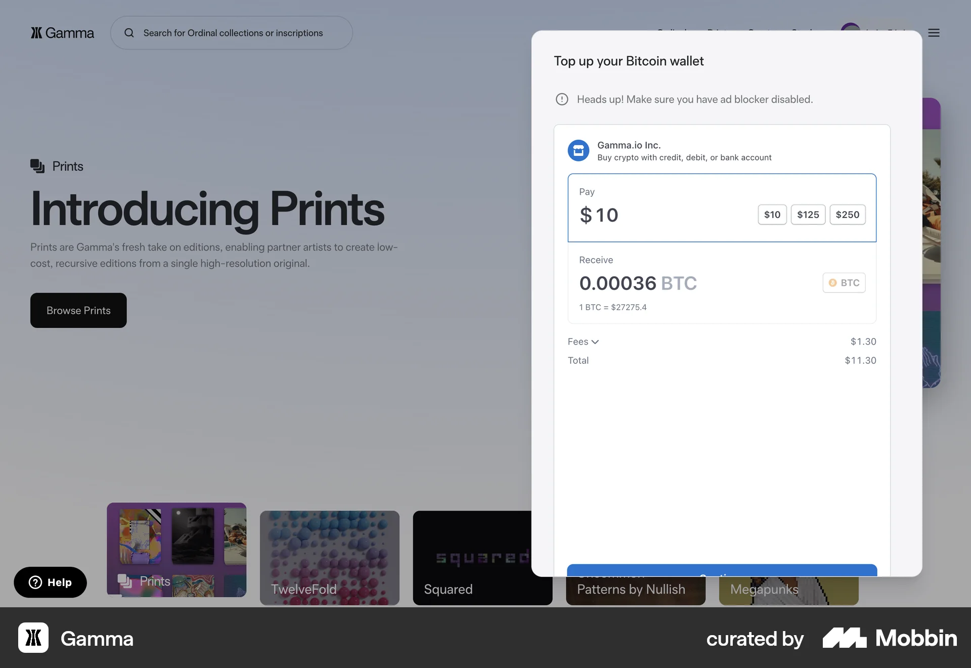 Gamma Web Transfer & Send Money screen