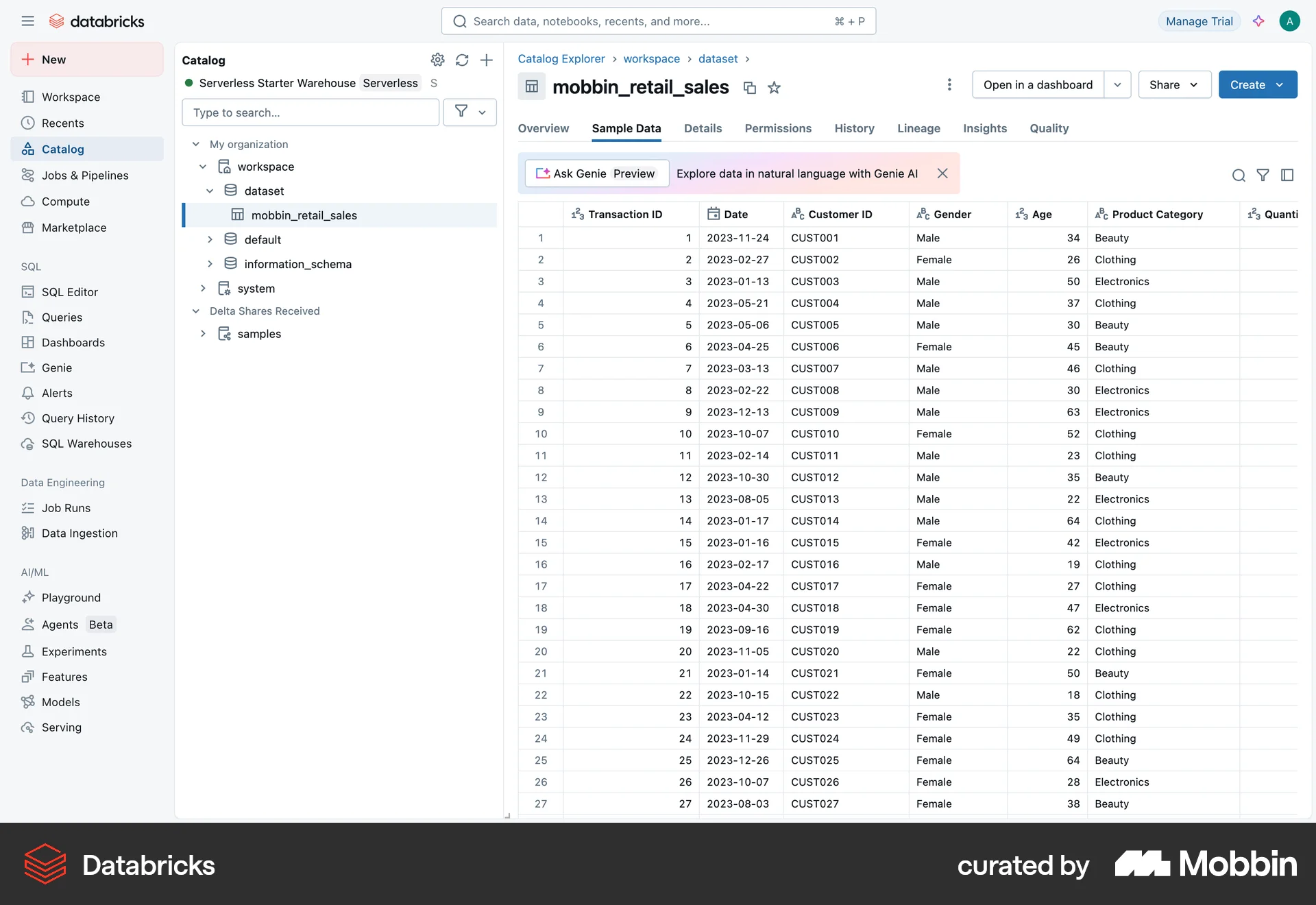 Databricks Web Developer Tools App screen