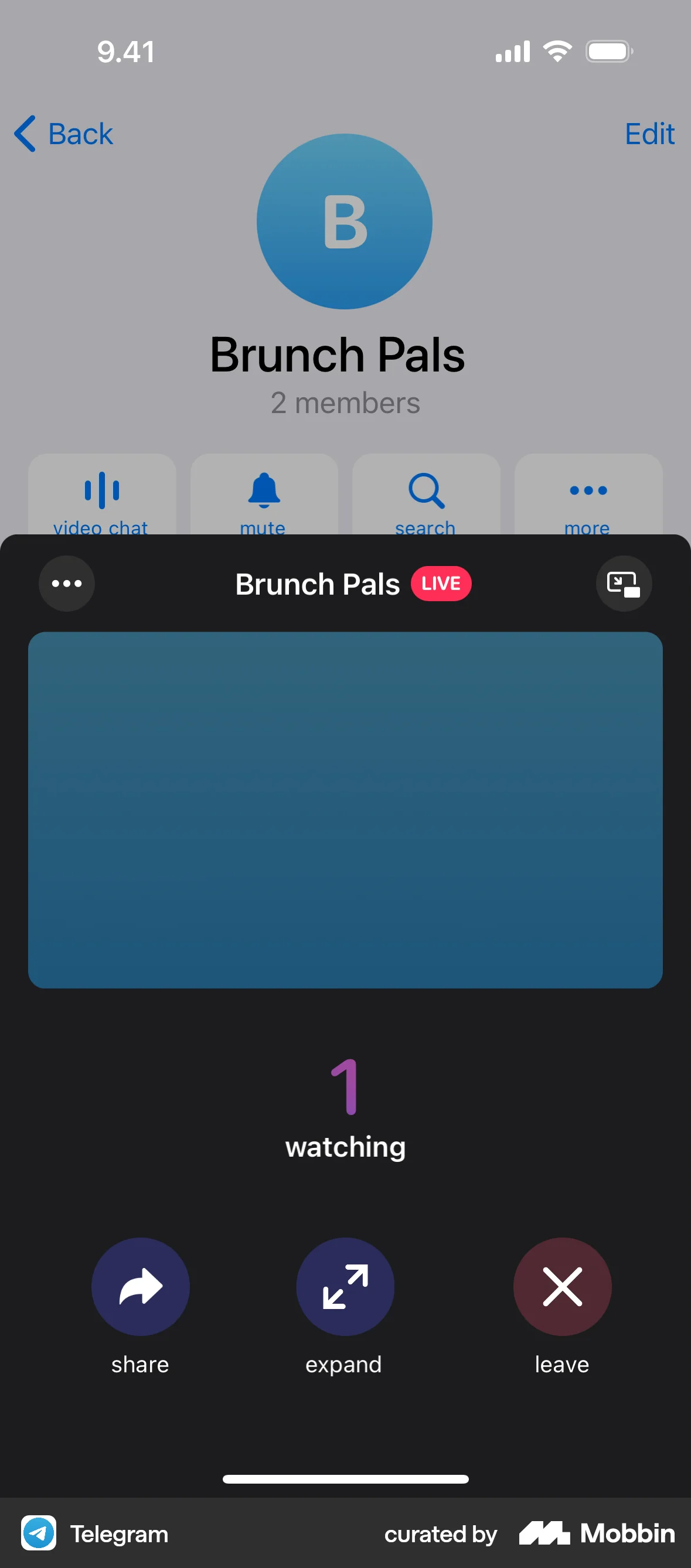 Telegram iOS Call screen