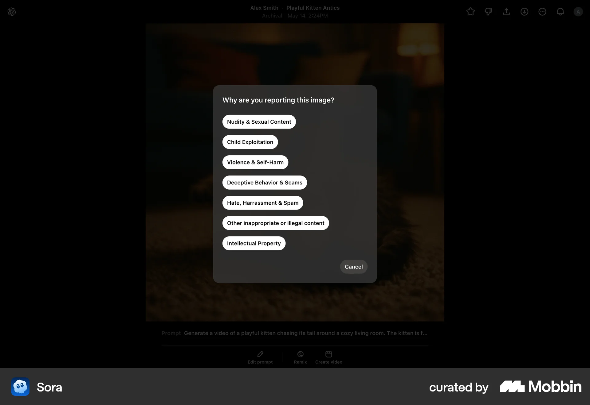 Sora Web Flag & Report screen