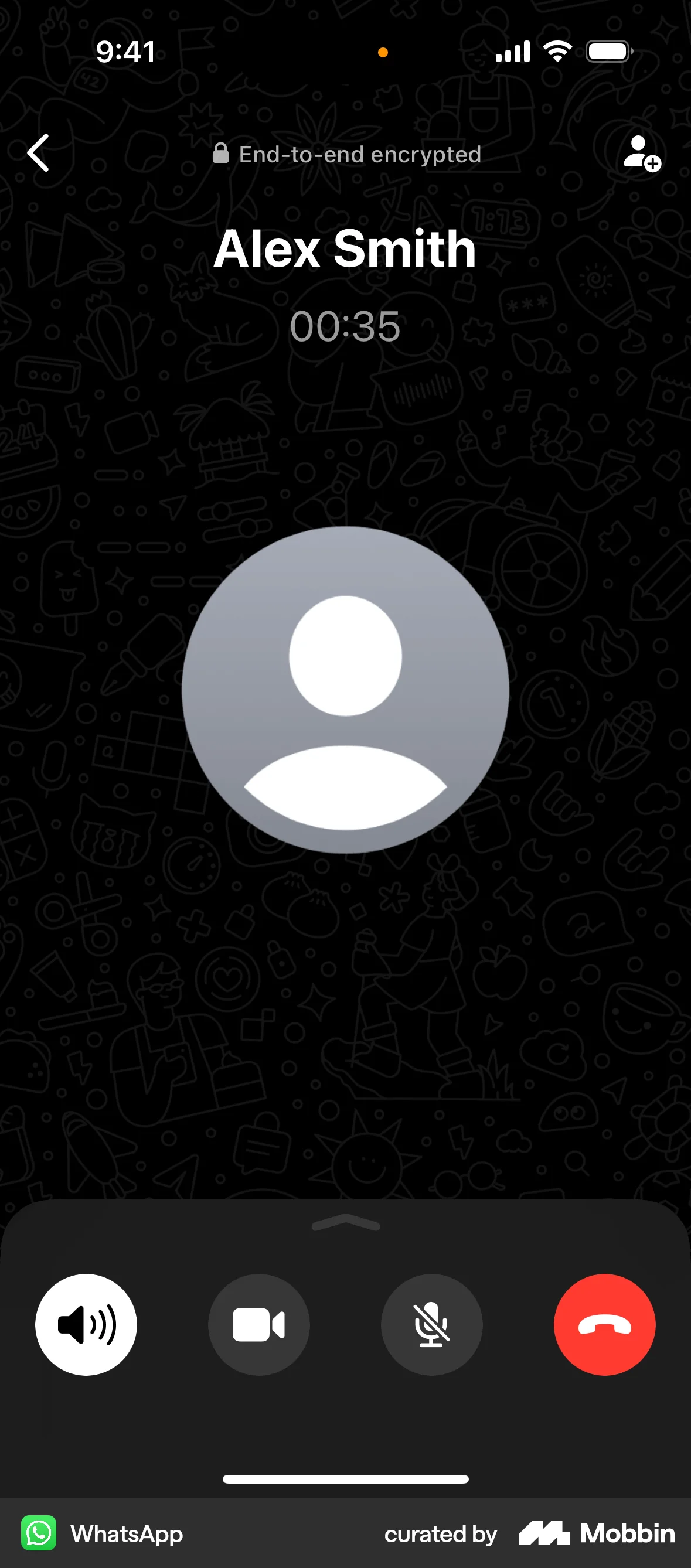 WhatsApp iOS Communication App screen
