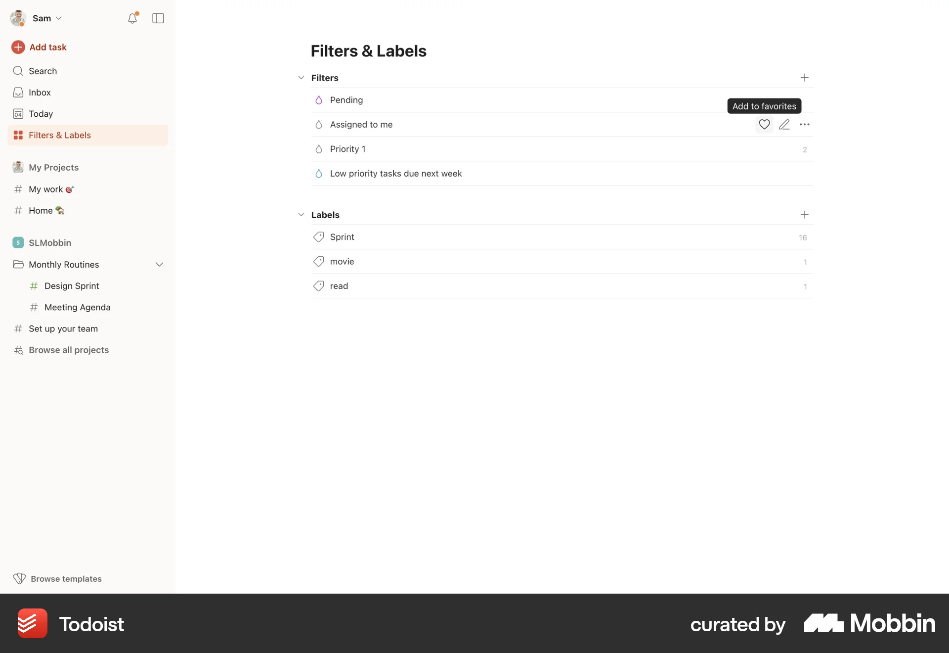 Todoist Web Favorite & Pin screen