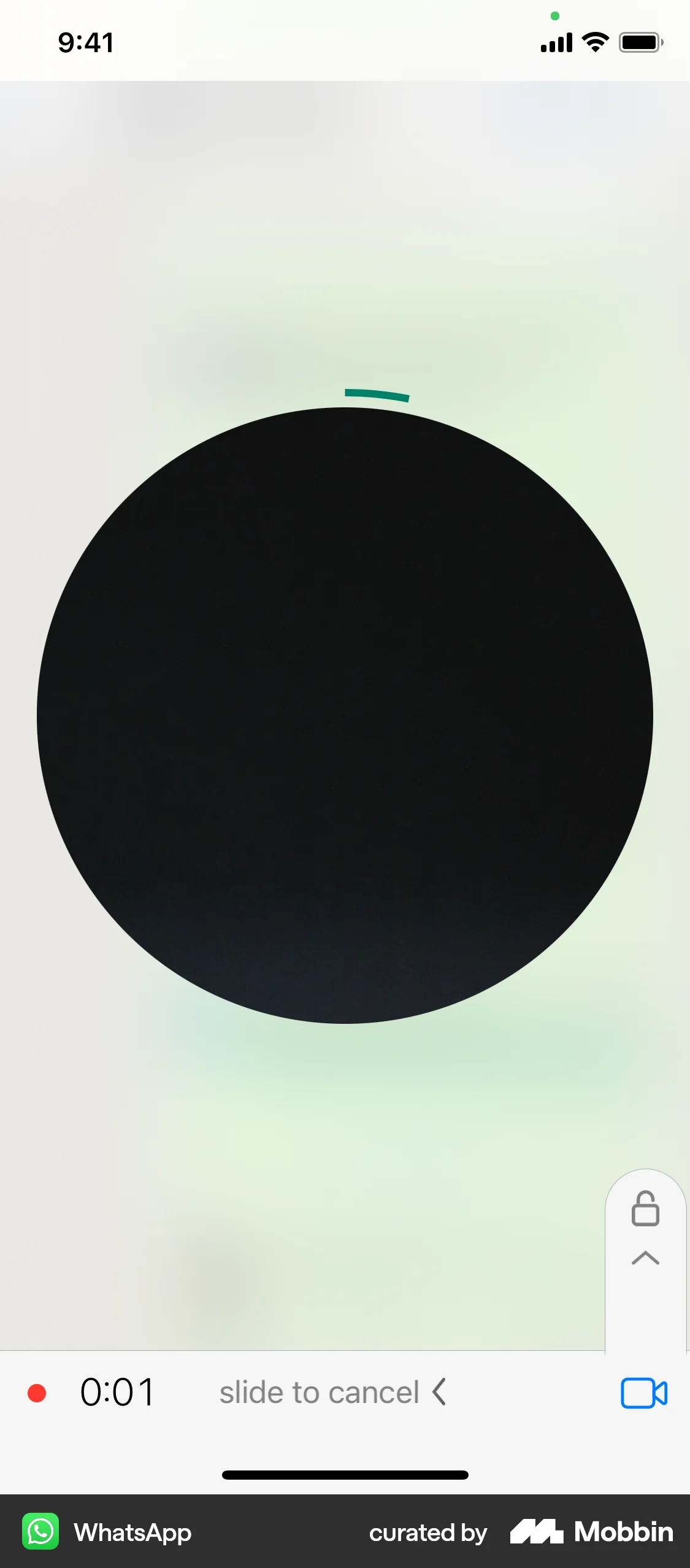 WhatsApp iOS Audio & Video Recorder screen