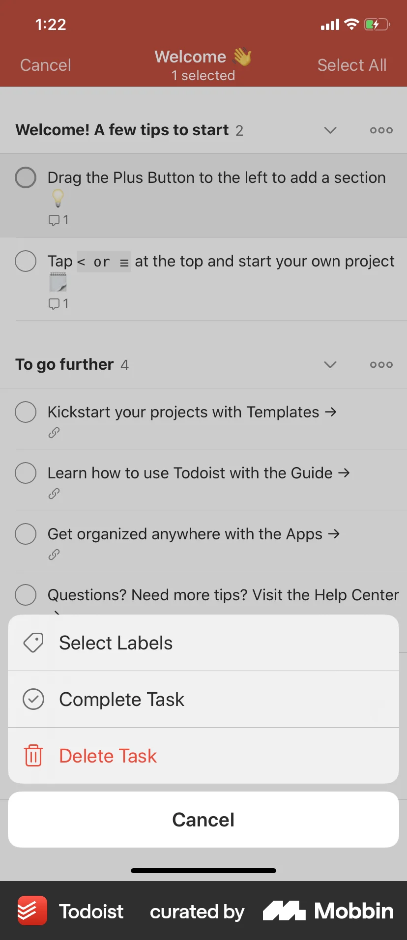 Todoist iOS screen containing Action Sheet UI element