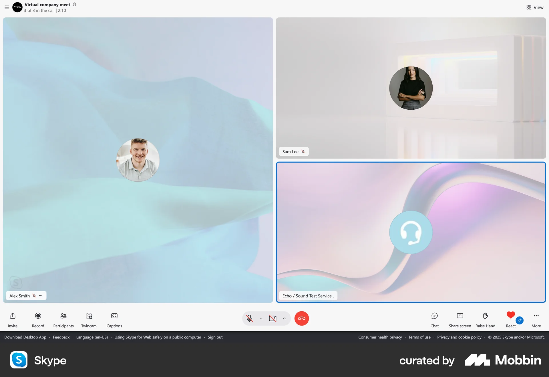 Skype Web Call screen