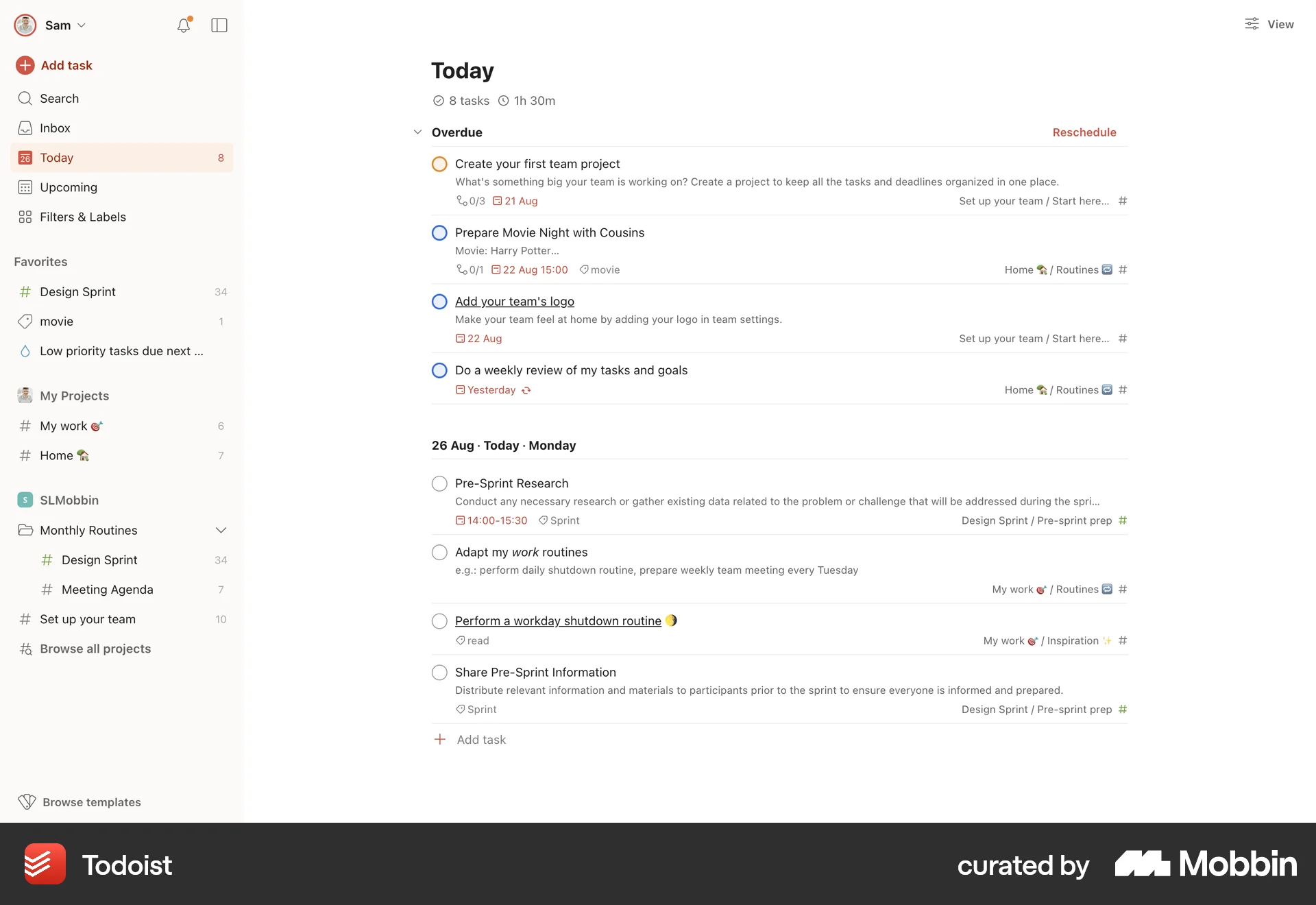 Todoist Web Goal & Task screen