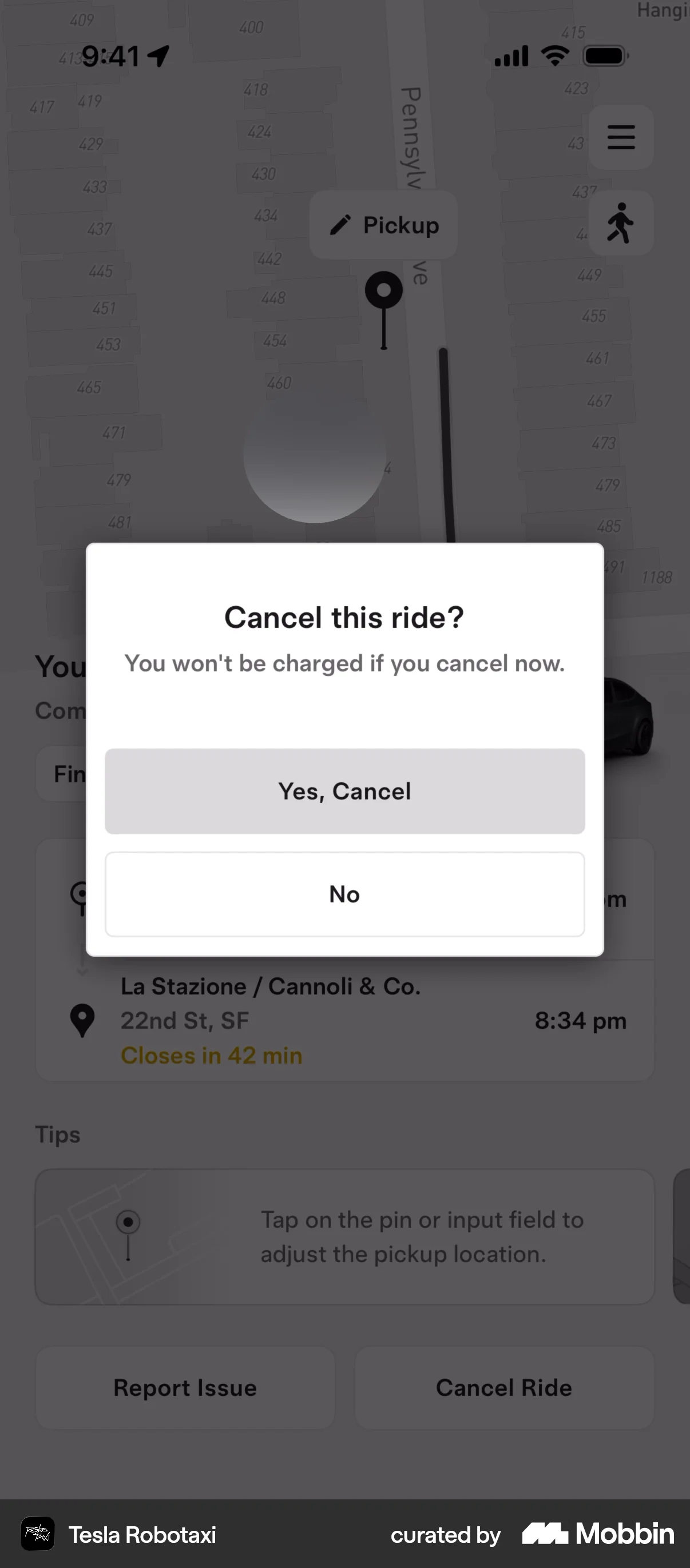 Tesla Robotaxi iOS Confirmation screen