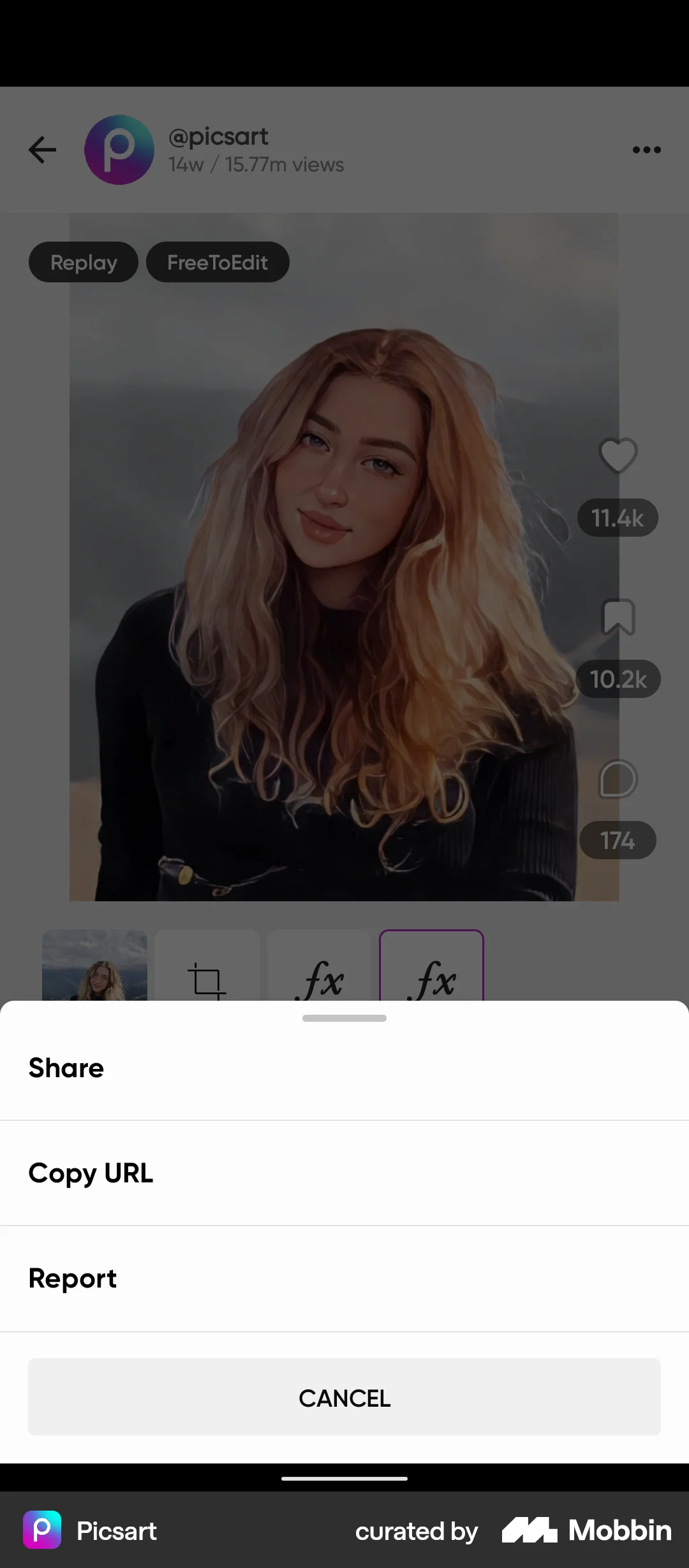 Picsart Android Action Option screen
