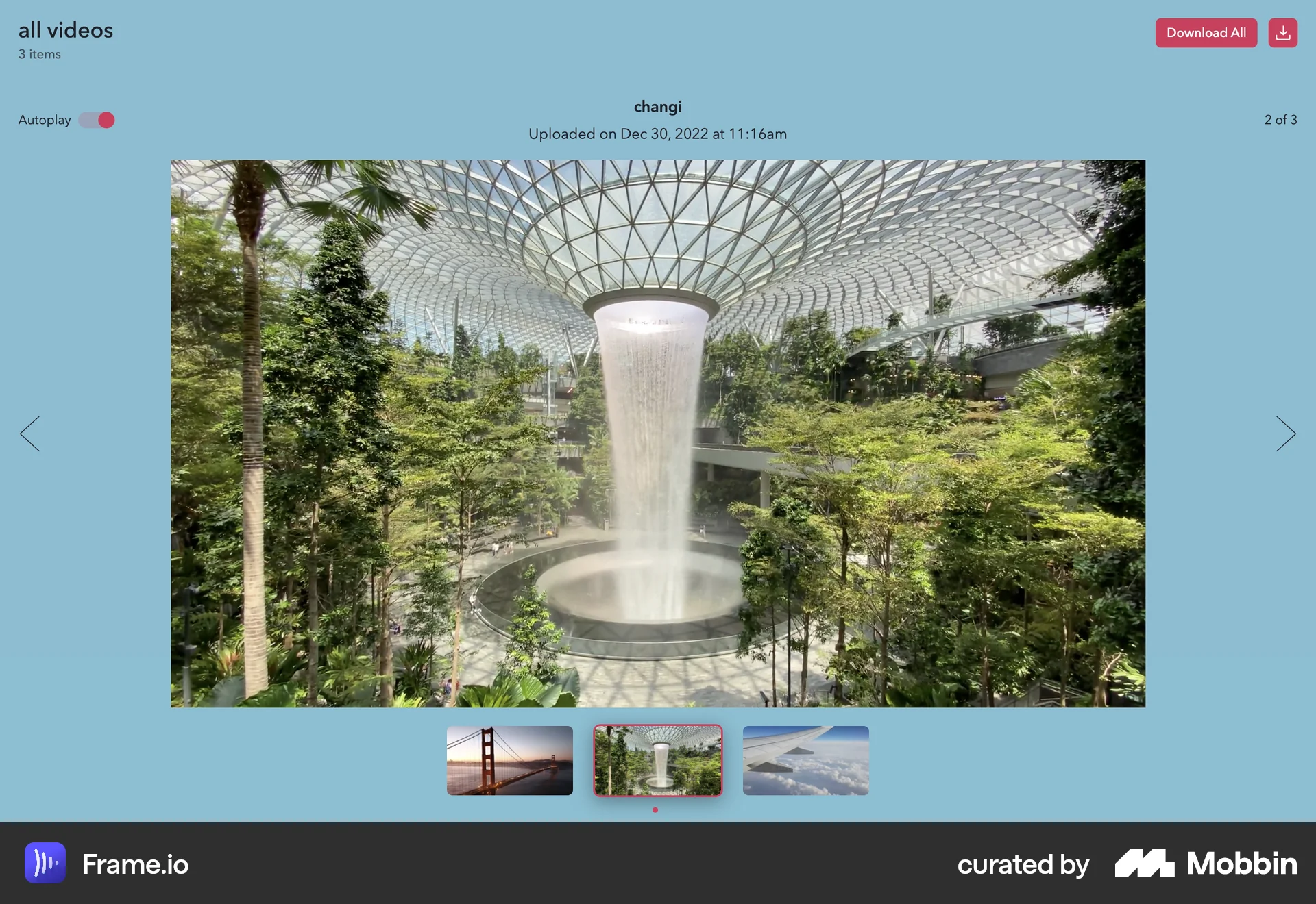 Frame.io Web Video Player screen