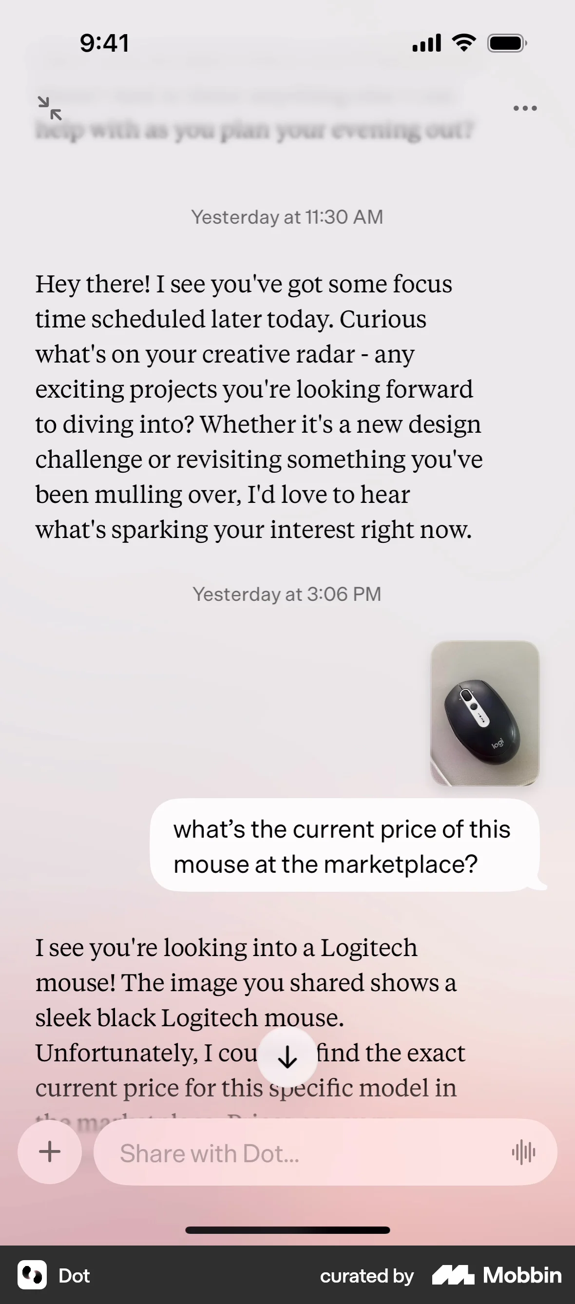 Dot iOS Chat Bot screen