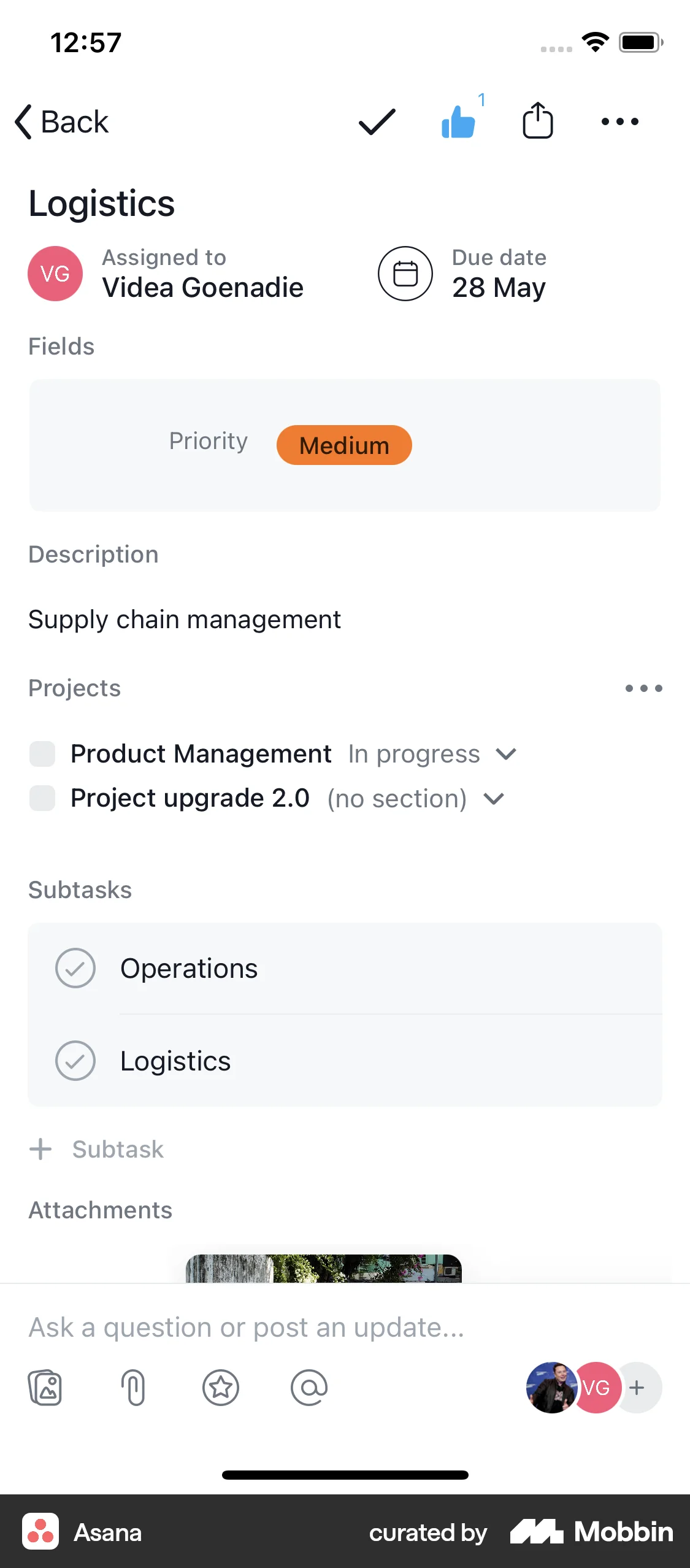 Asana iOS Goal & Task screen