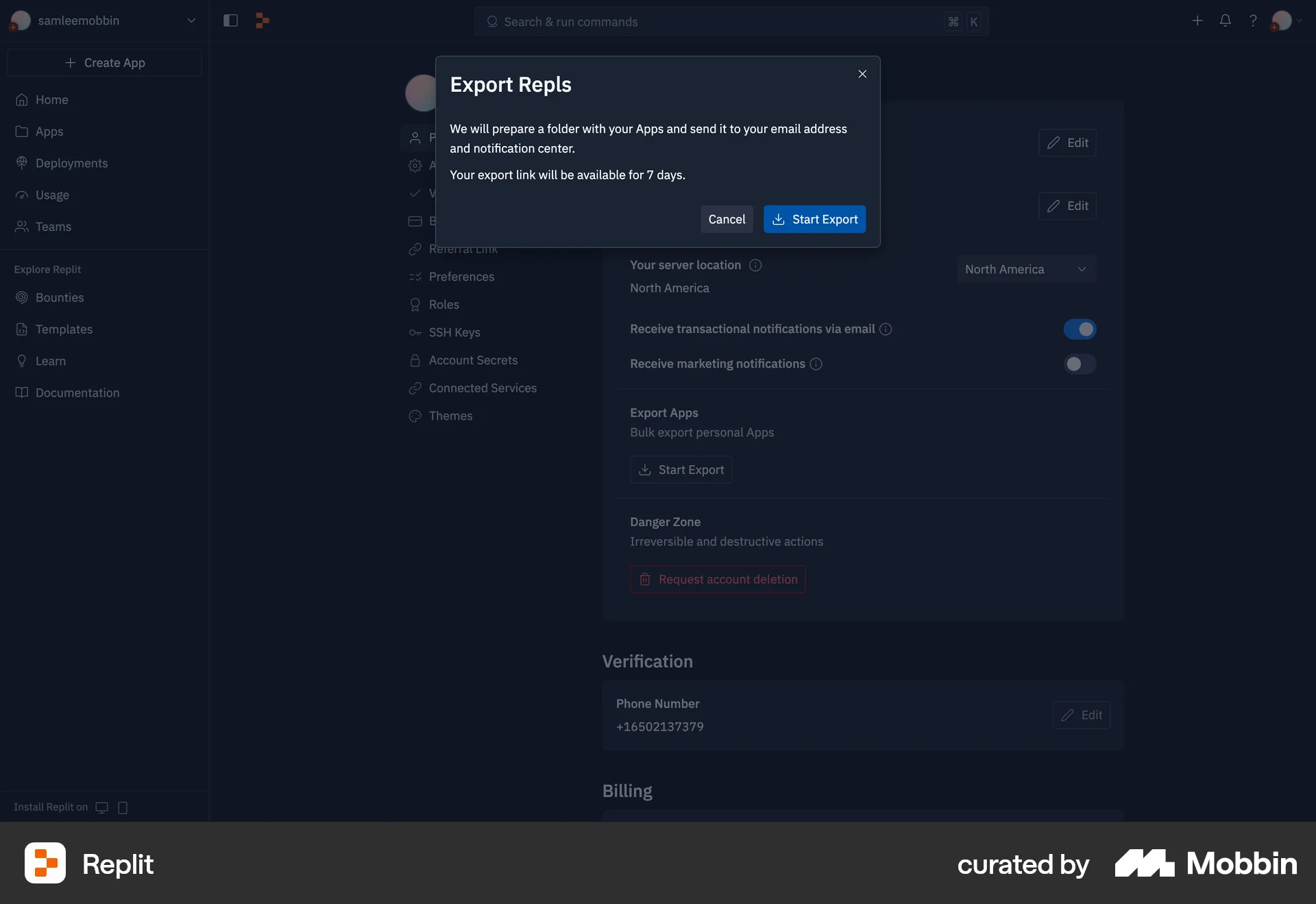 Replit Web Import & Export screen
