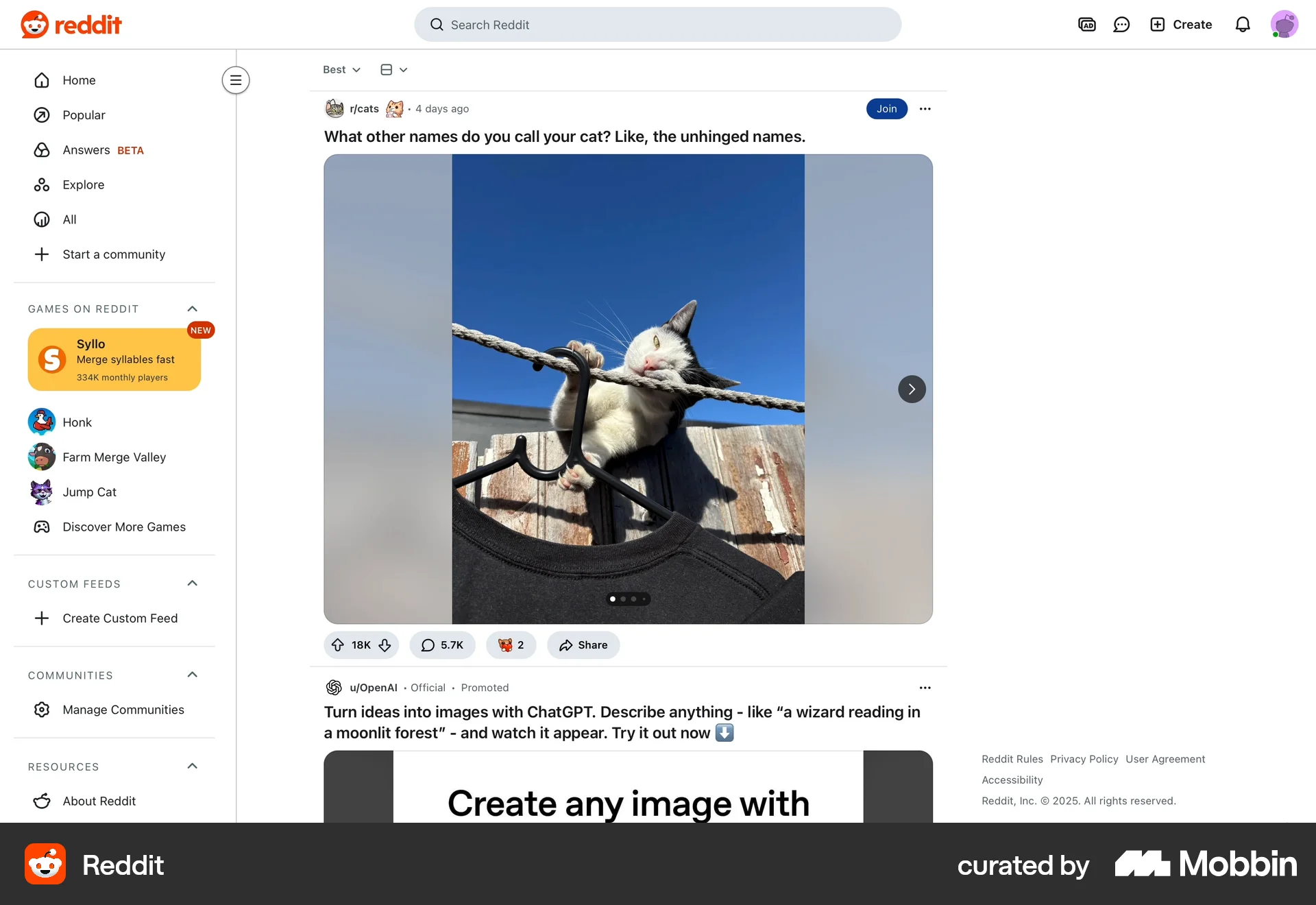 Reddit Web Social Networking App screen