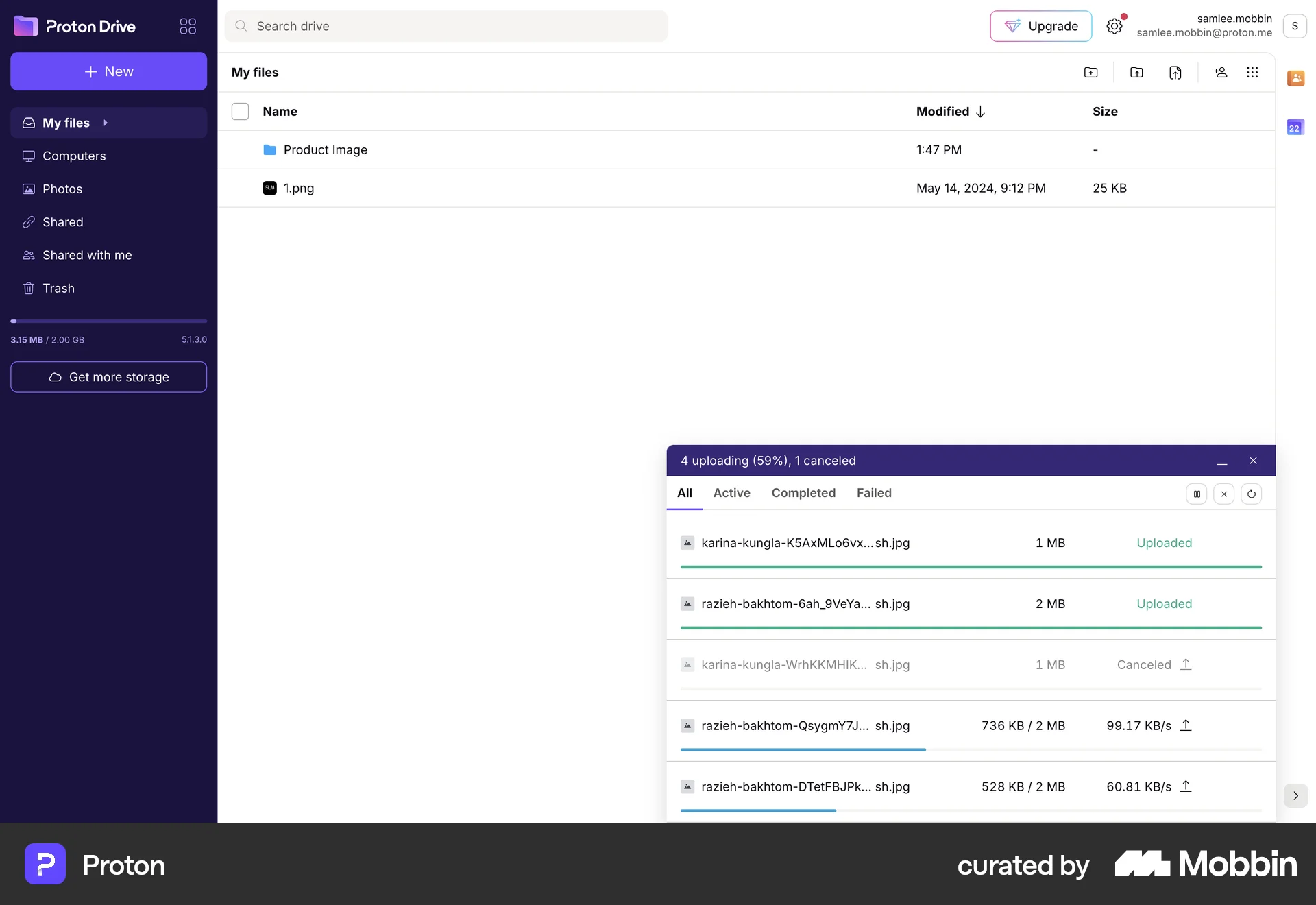 Proton Web screen containing Loading Indicator UI element
