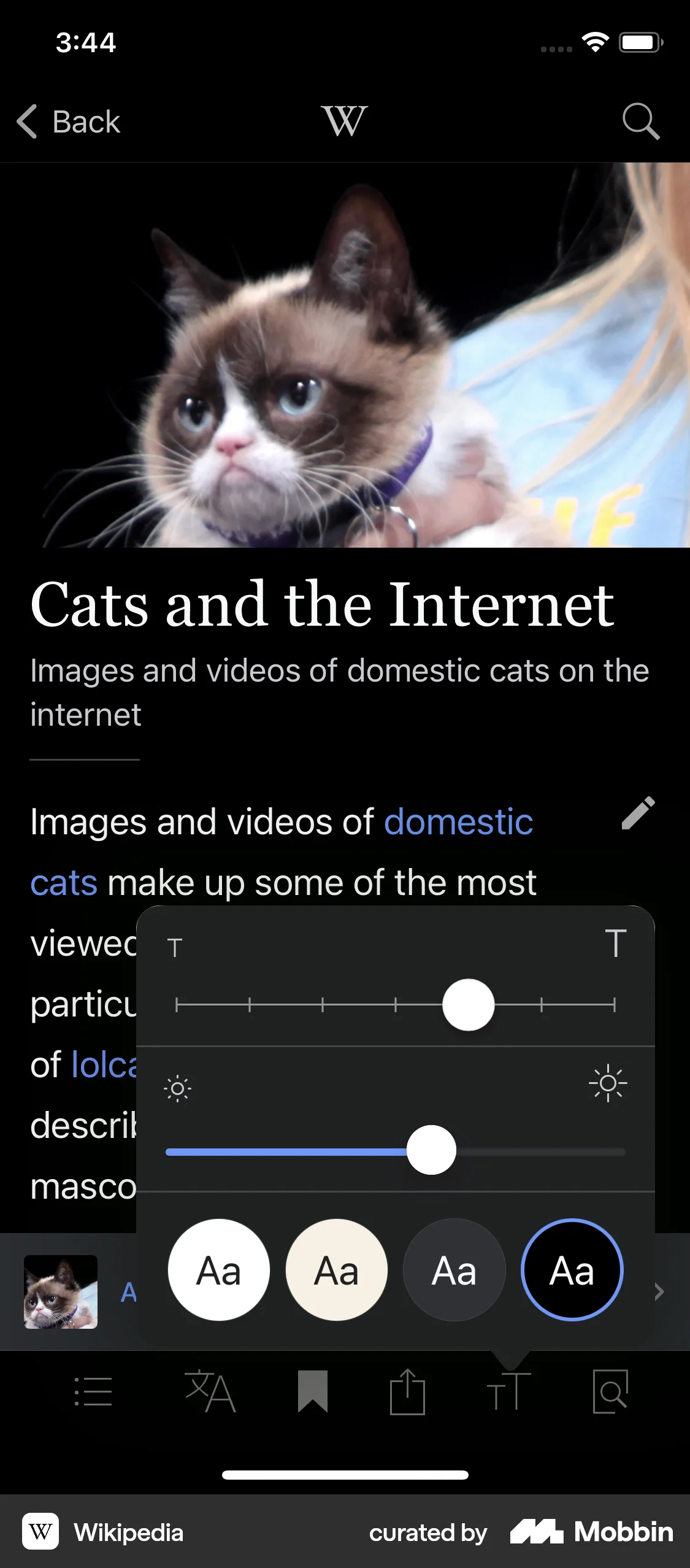 Wikipedia iOS Article Detail screen