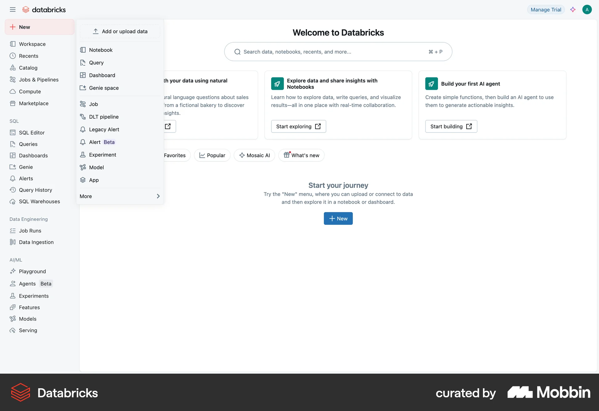 Databricks Web Developer Tools App screen