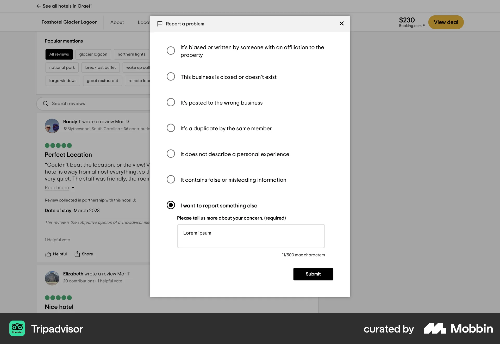 Tripadvisor Web Flag & Report screen